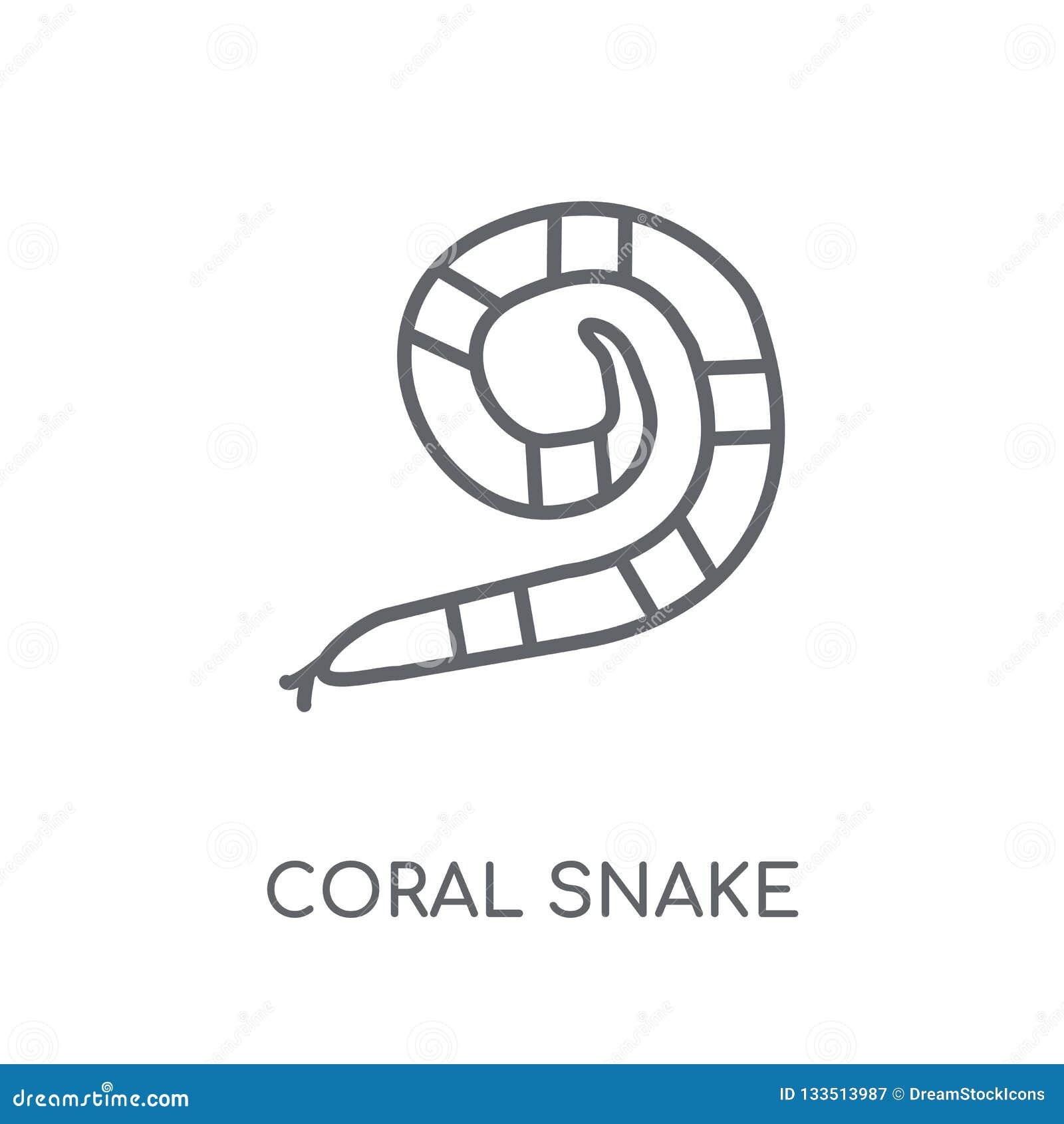 coral snake linear icon. modern outline coral snake logo concept