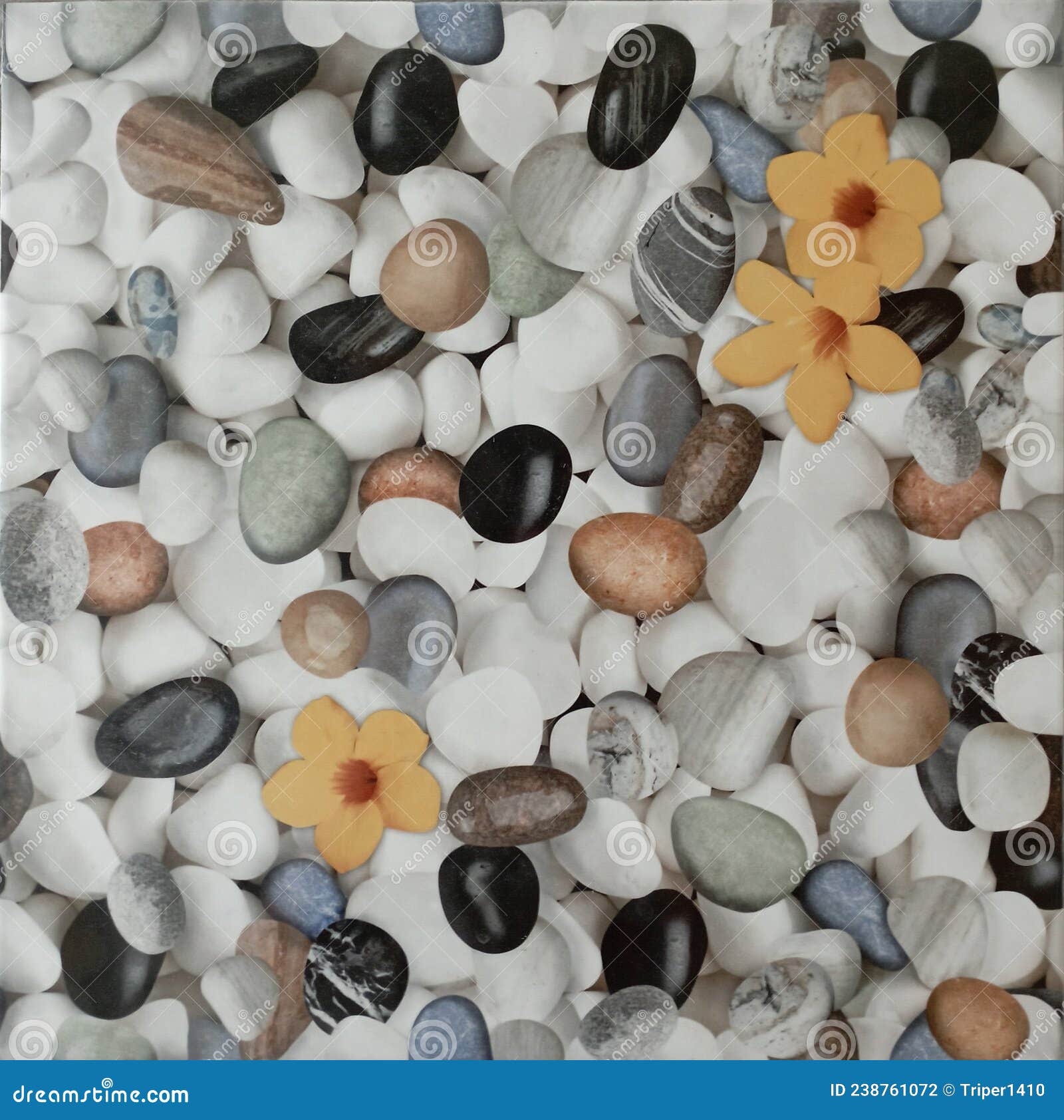 Coral Stone Pattern Seamless Tile Aquarium Fish Stock Photo Image of