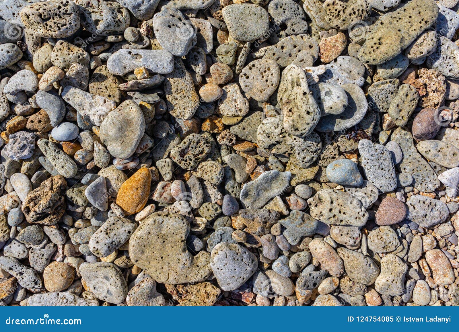 Coral and stones stock image. Image of blue, pebbles 124754085