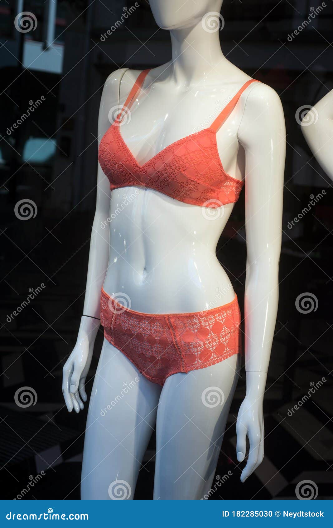 Coral Underwear on Mannequin in a Fashion Store for Women Showroom Stock  Photo - Image of modern, model: 182285030