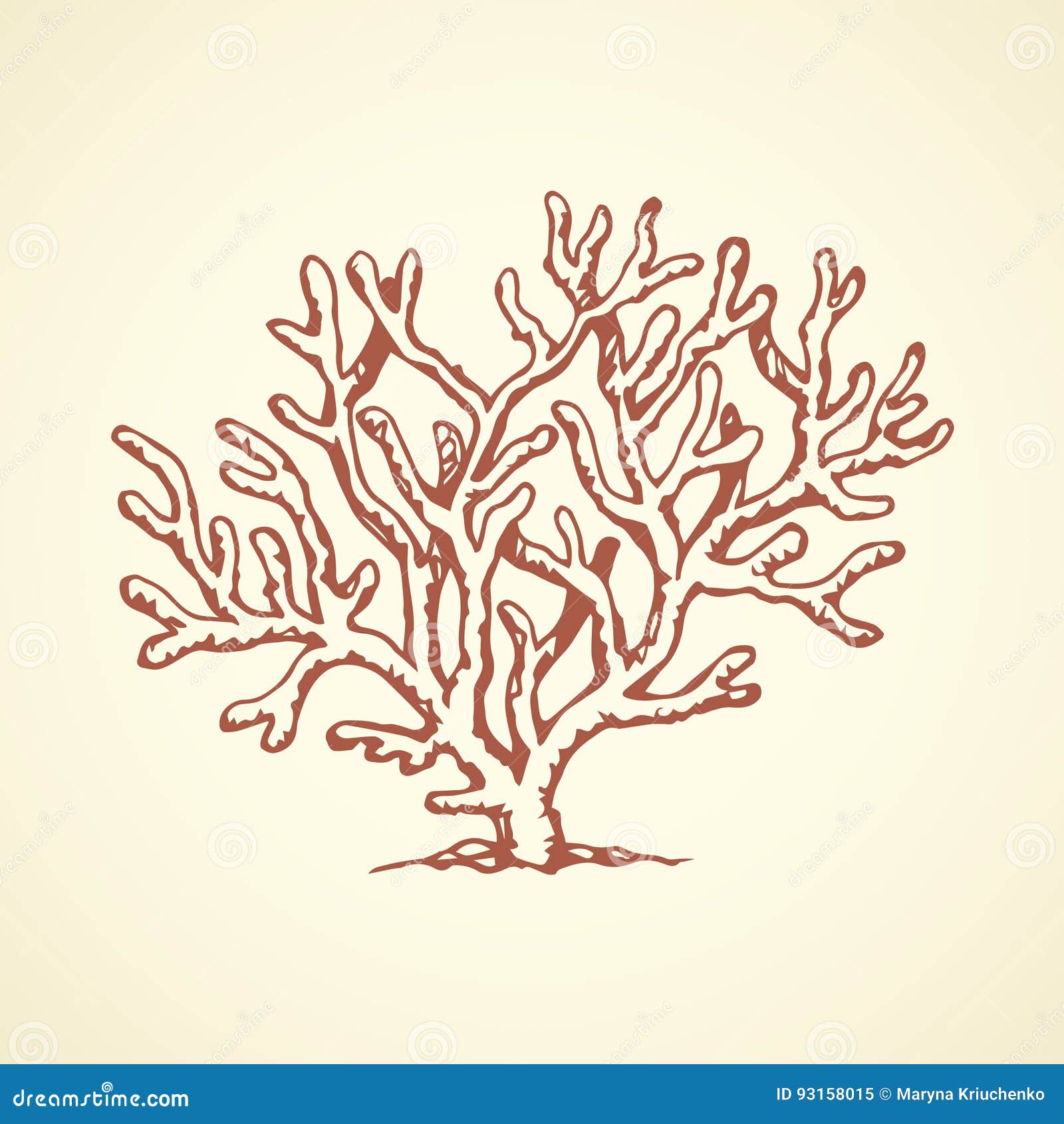 Coral Branch Sketch Royalty Free Vector Image VectorStock