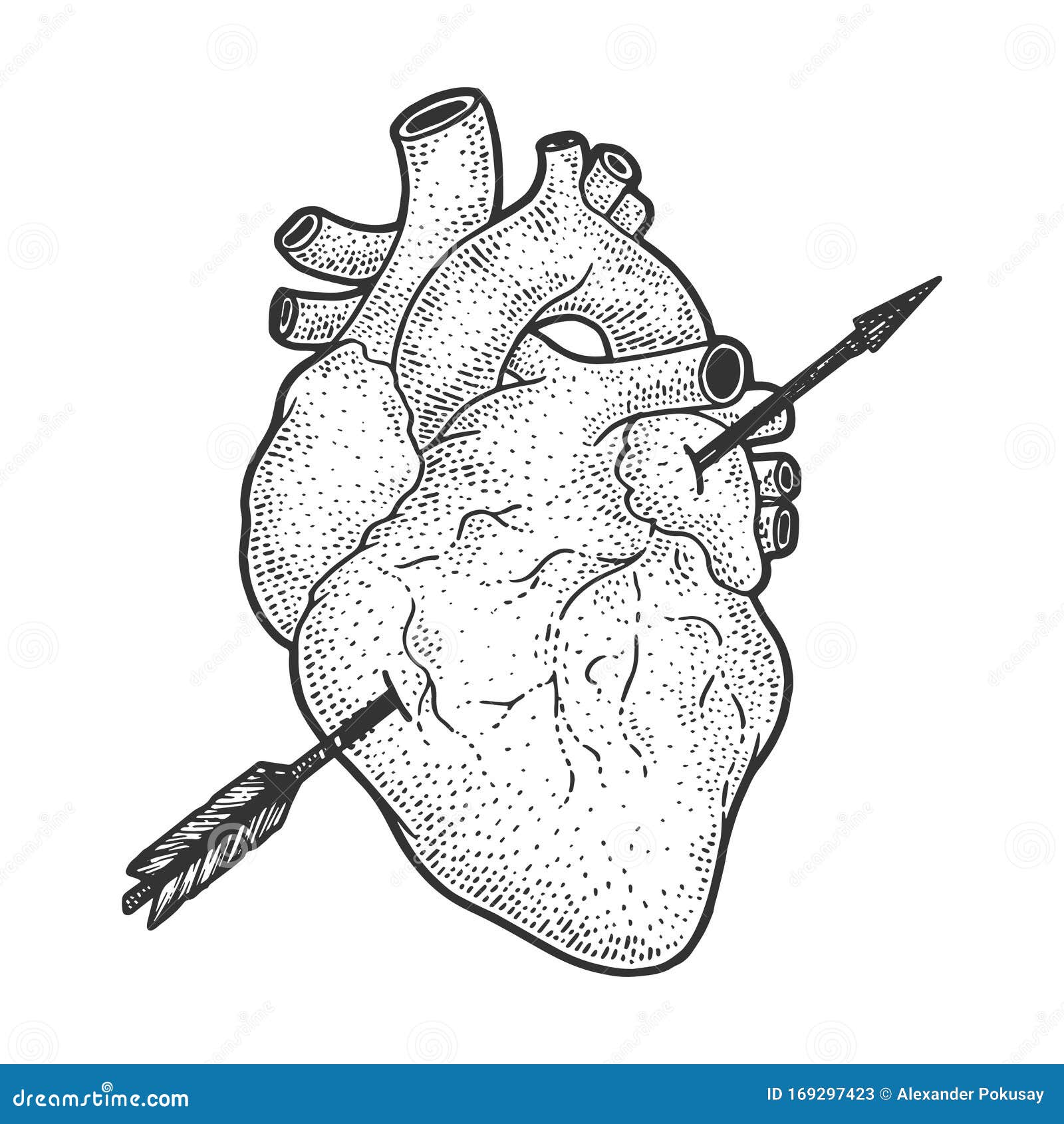 Corazón Perforado Con Dibujo De Flecha Grabado Ilustración del Vector -  Ilustración de tarjeta, vector: 169297423