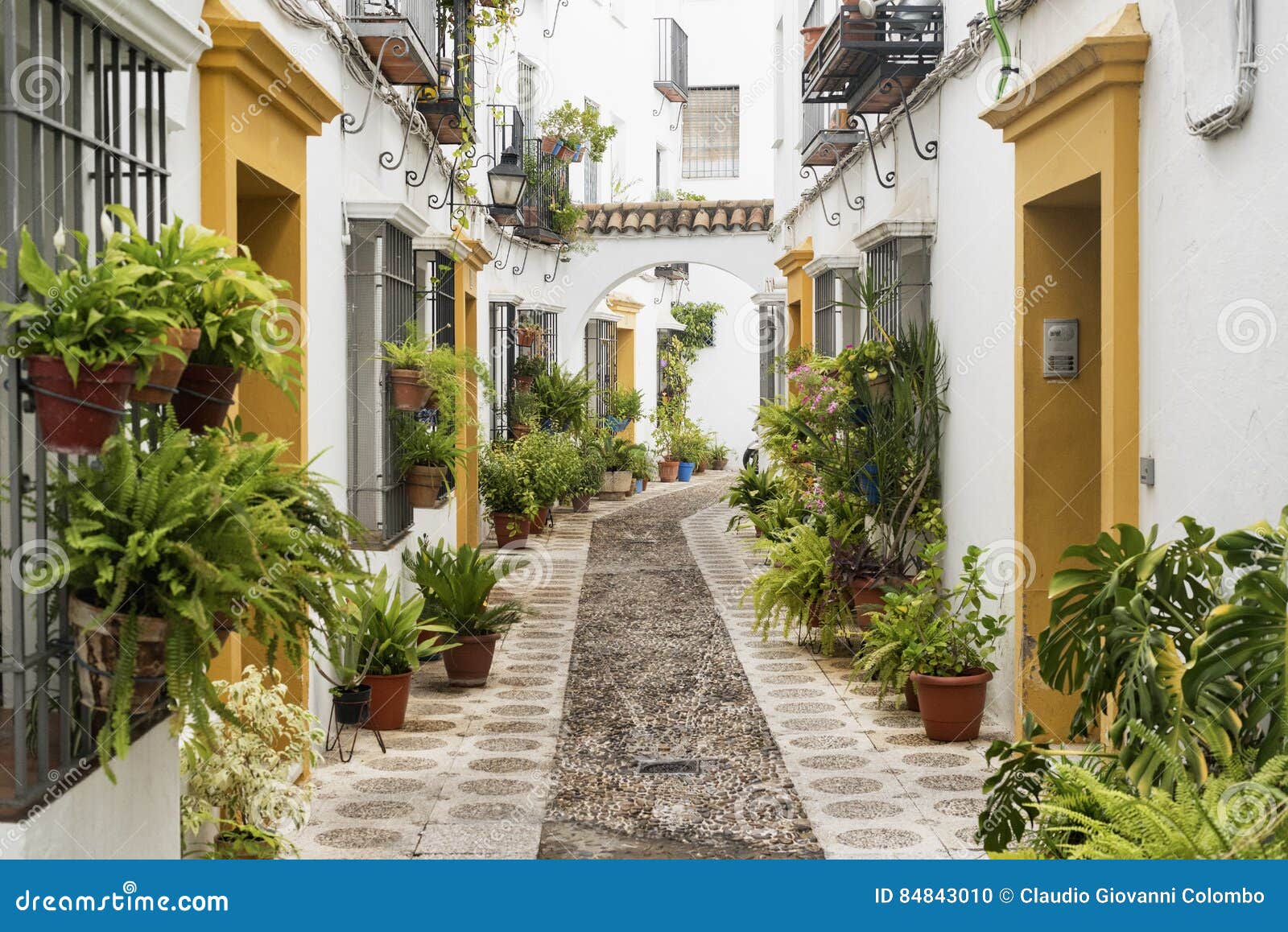 cordoba andalucia, spain: street