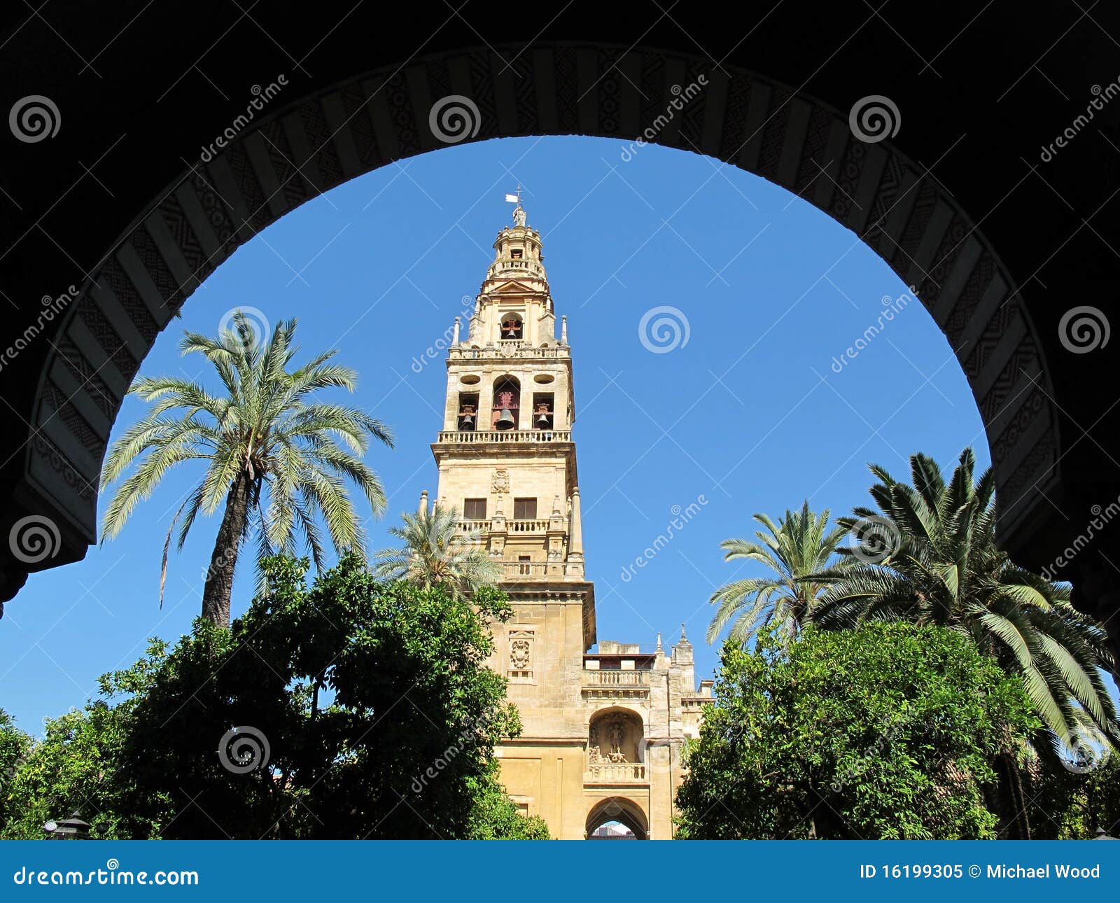 cordoba cathedral arch framed