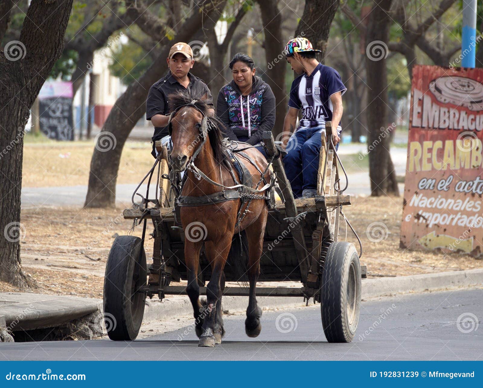 Family on Horse Pulled Cart in Cordoba City, Argentina Editorial Stock  Photo - Image of neighborhood, family: 192831243