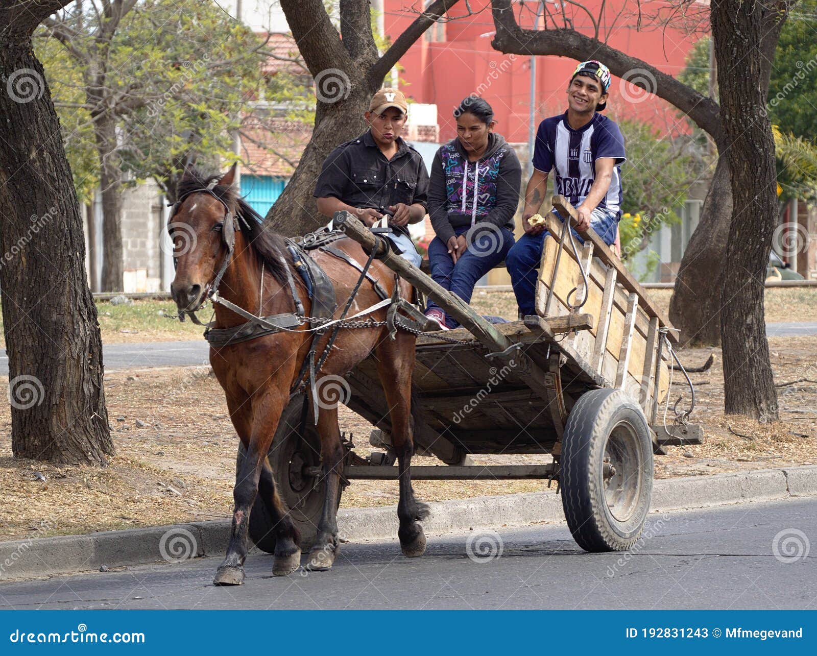 Argentina Buenos Aires Horse and cart in Caminito La Boca Stock Photo -  Alamy