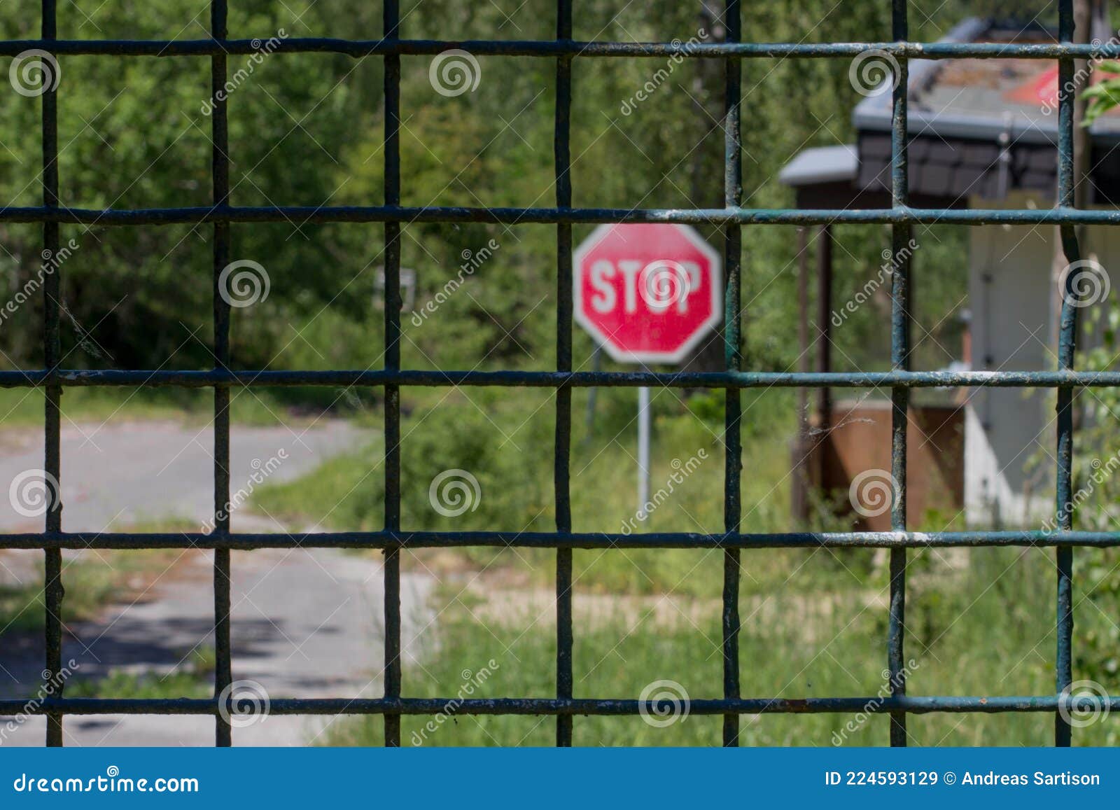 cordoned off path in the forest with a stop sign