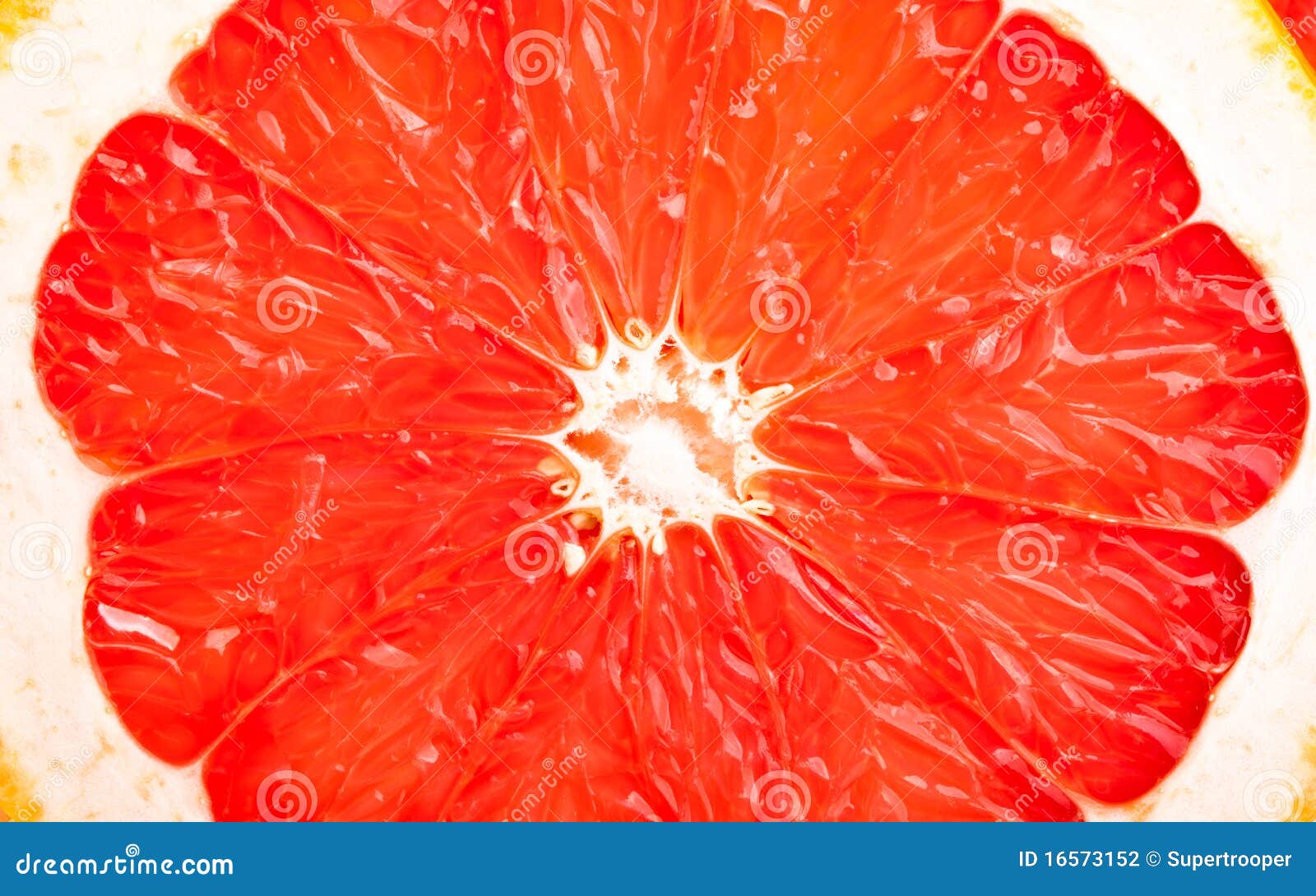 Pith Pomelo Stock Photos Free & RoyaltyFree Stock Photos from Dreamstime