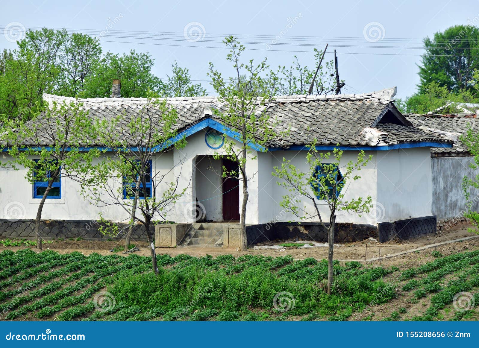 Corea del Norte Campo foto editorial. Imagen de cubo - 155208656