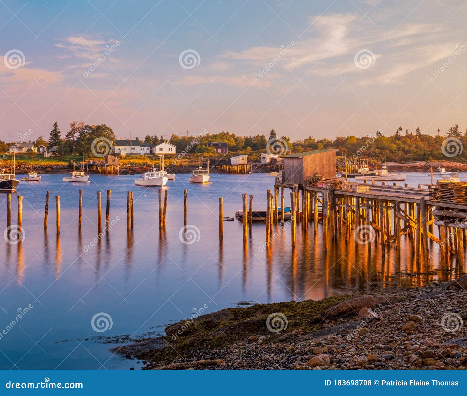 corea harbor glows in the last light of the day in maine , usa