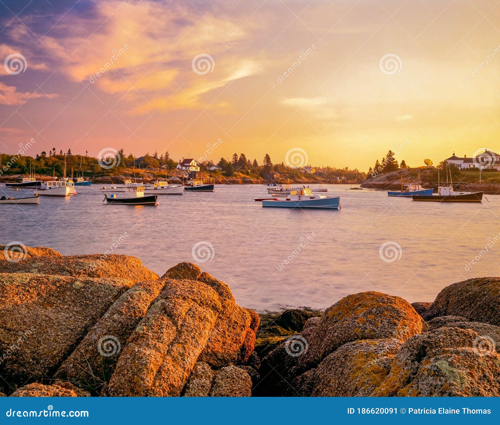 corea harbor glows at sunset in maine , usa