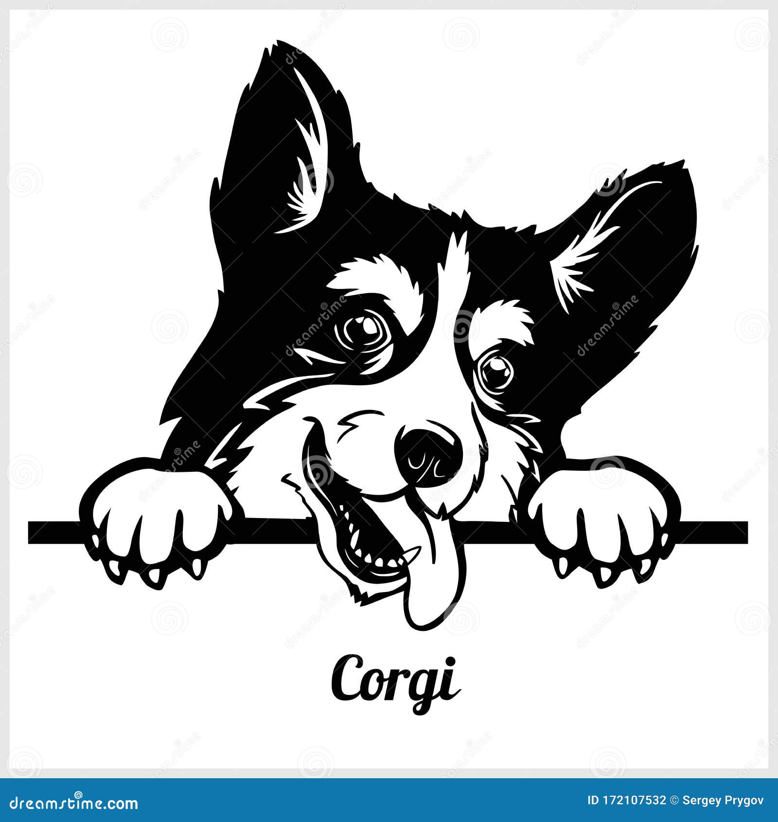 Corgi - Peeking Dogs - Breed Face Head Isolated on White Stock Vector