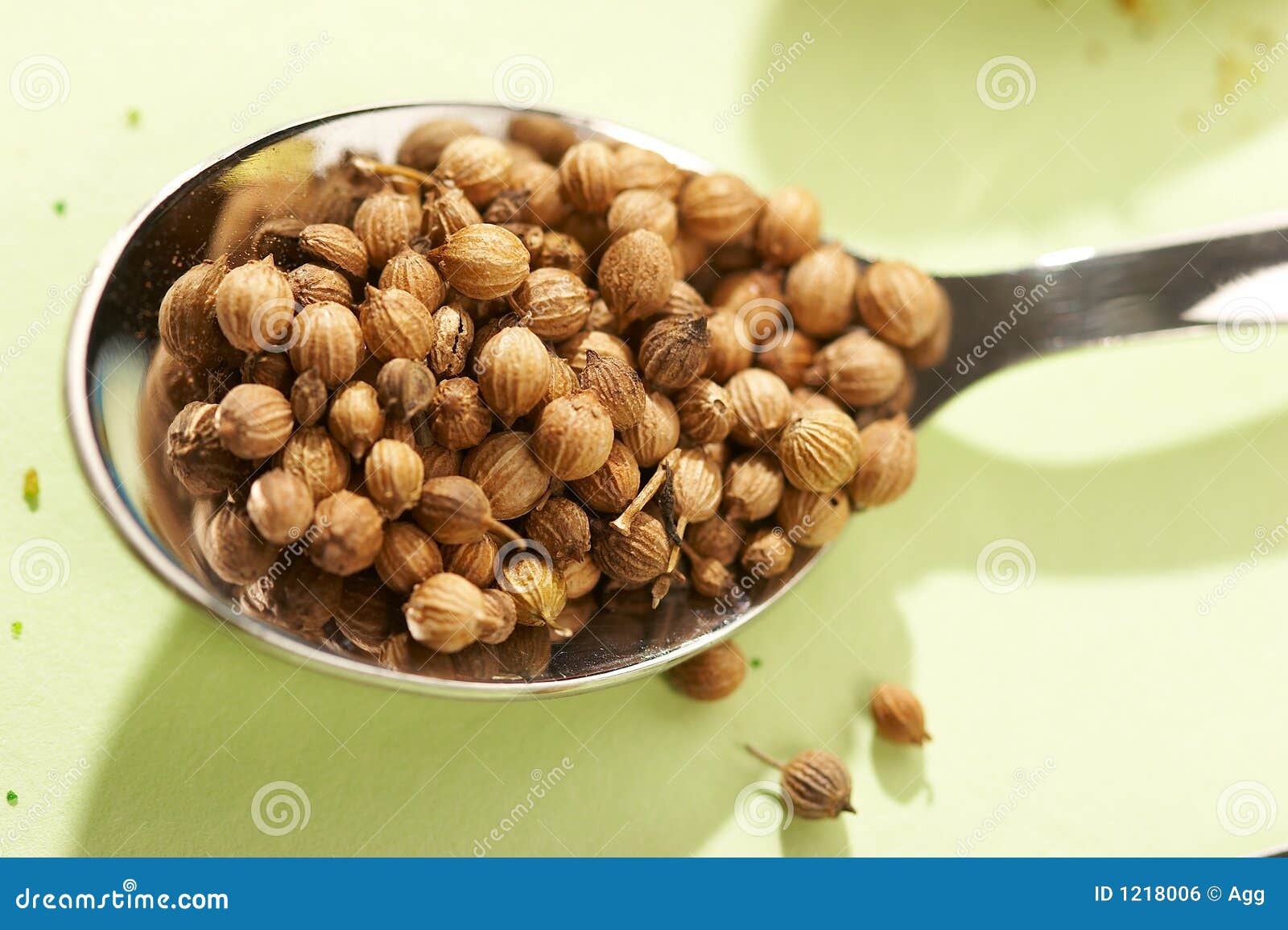 Coriander stock photo. Image of coriander, seasoning, white 1218006