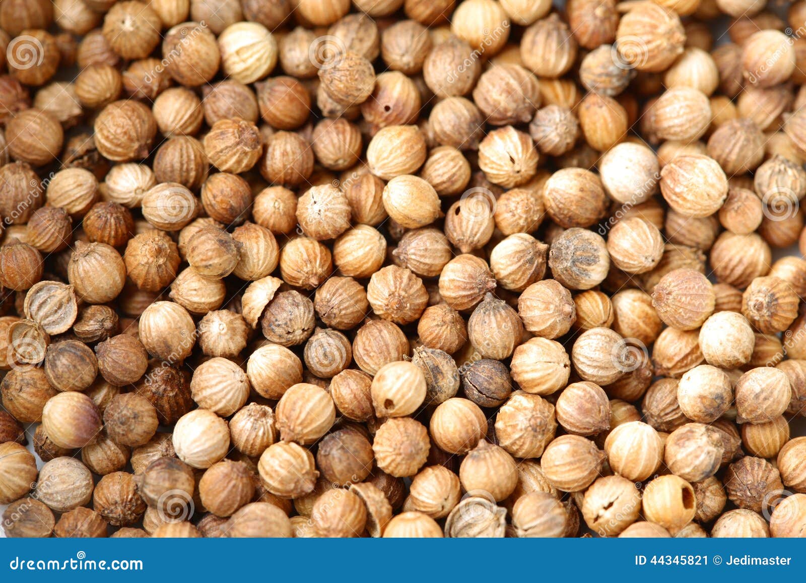 Coriander stock image. Image of taste, cooking, grain 44345821