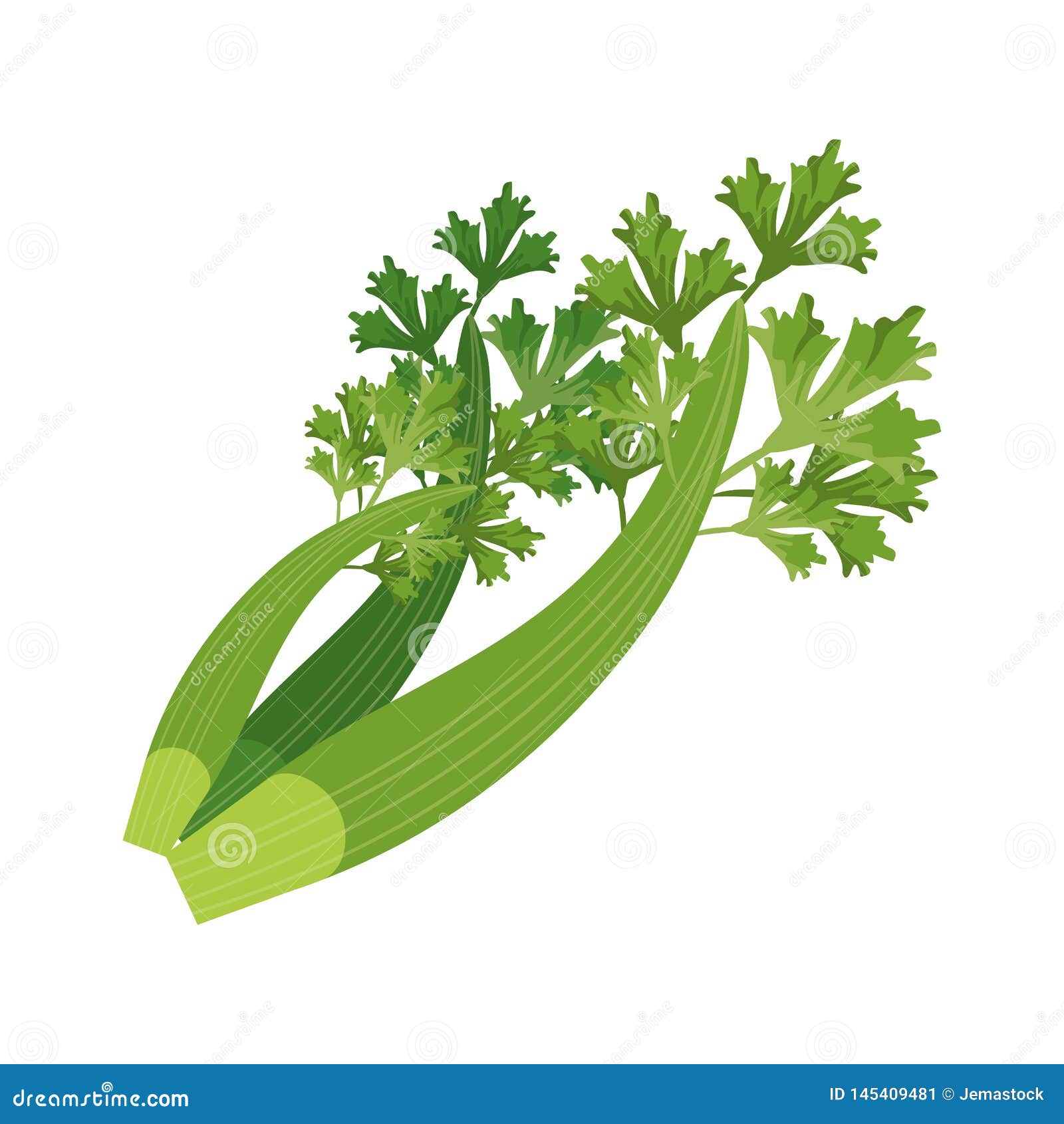 Coriander Leaves Clipart Stock Photo 81749574