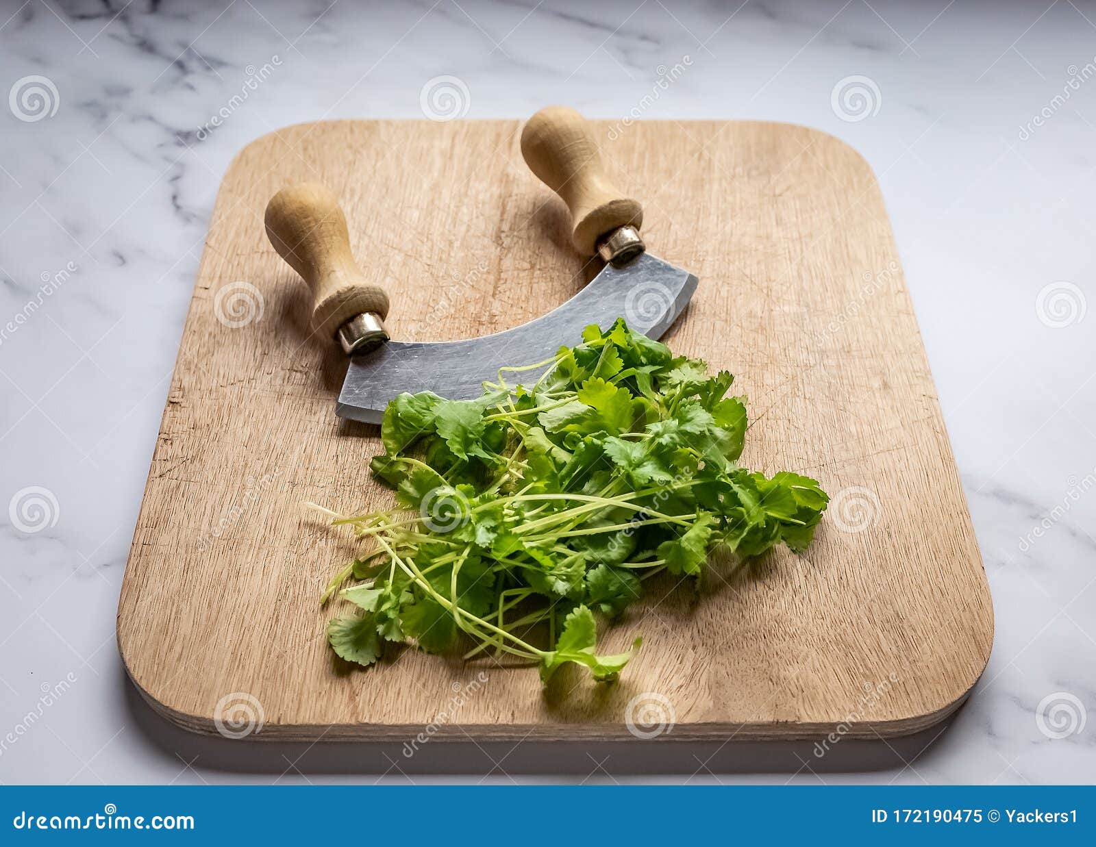 Coriander Leaves and Herb Chopper on a Wooden Board on a White Marbled Work  Top Stock Image - Image of handed, herb: 172190475