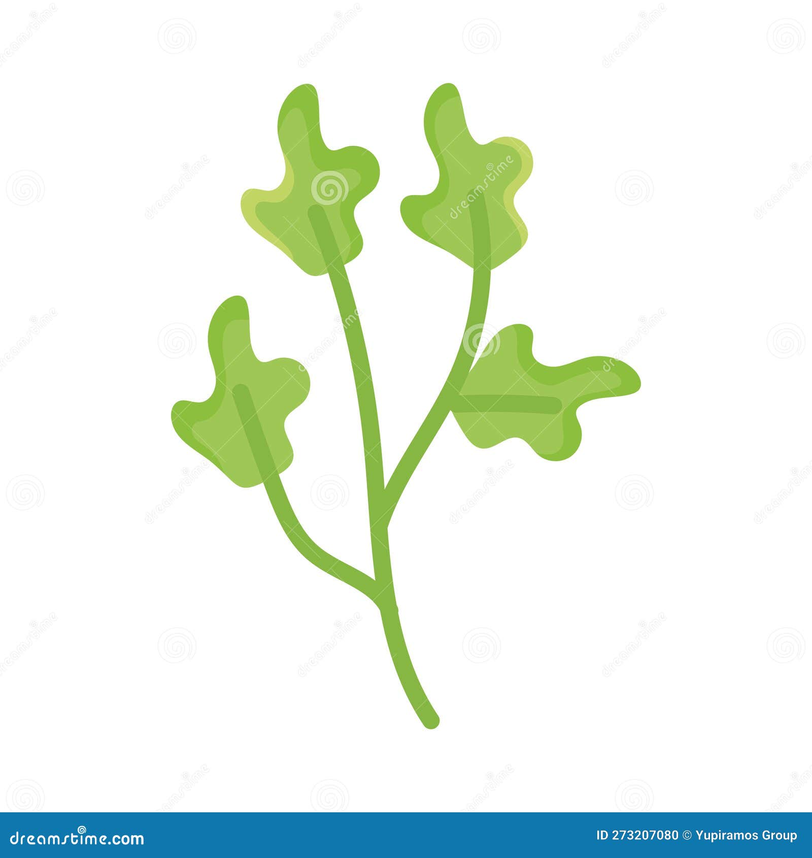 Coriander Leaves Clipart Stock Photo 81749574