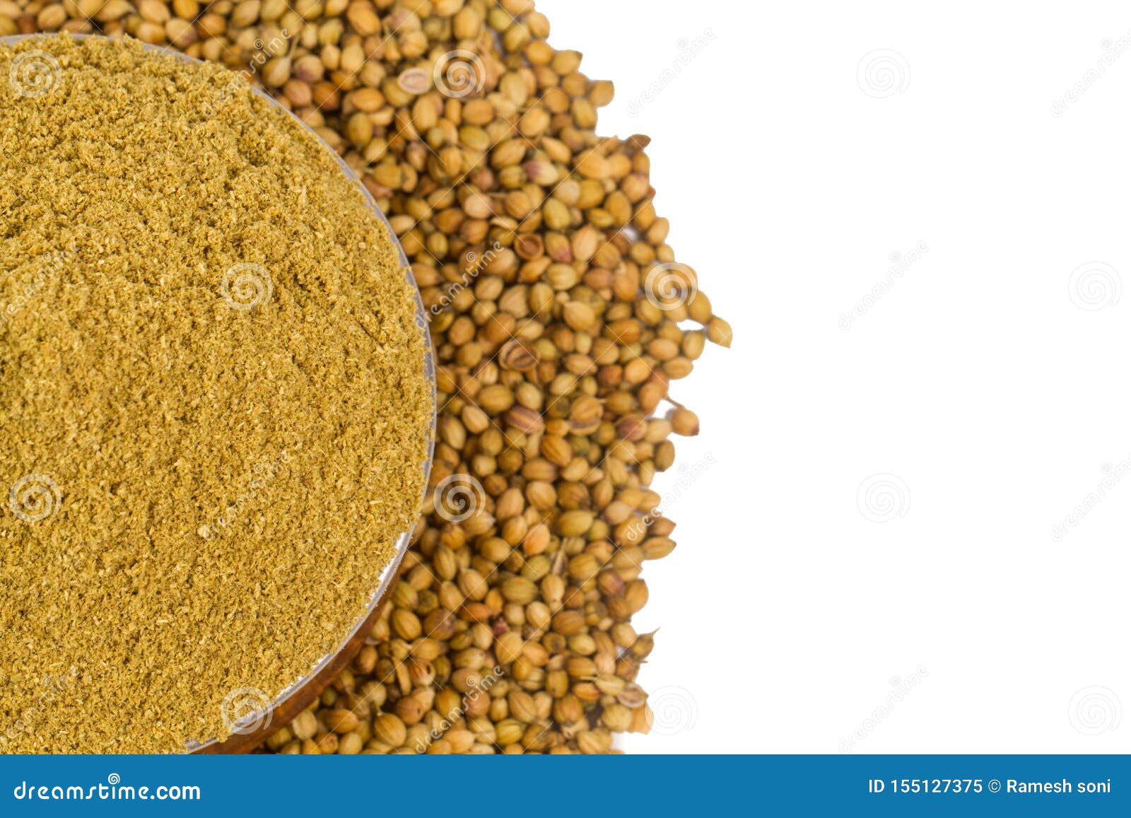 Coriander Powder with Seeds Stock Image Image of healthy, ingrediant