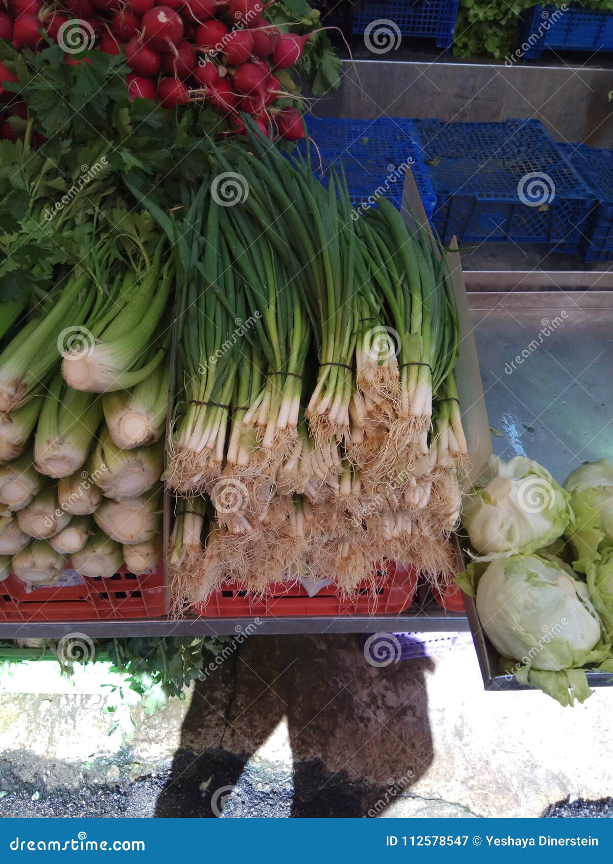 Coriander Root, on the Market Ready for Sale Stock Image Image of