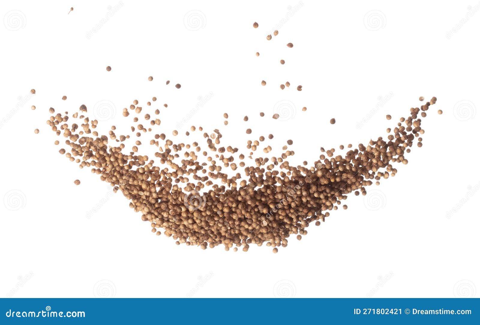 Coriander Seed Fly Explosion, Brown Coriander Seed Float Explode