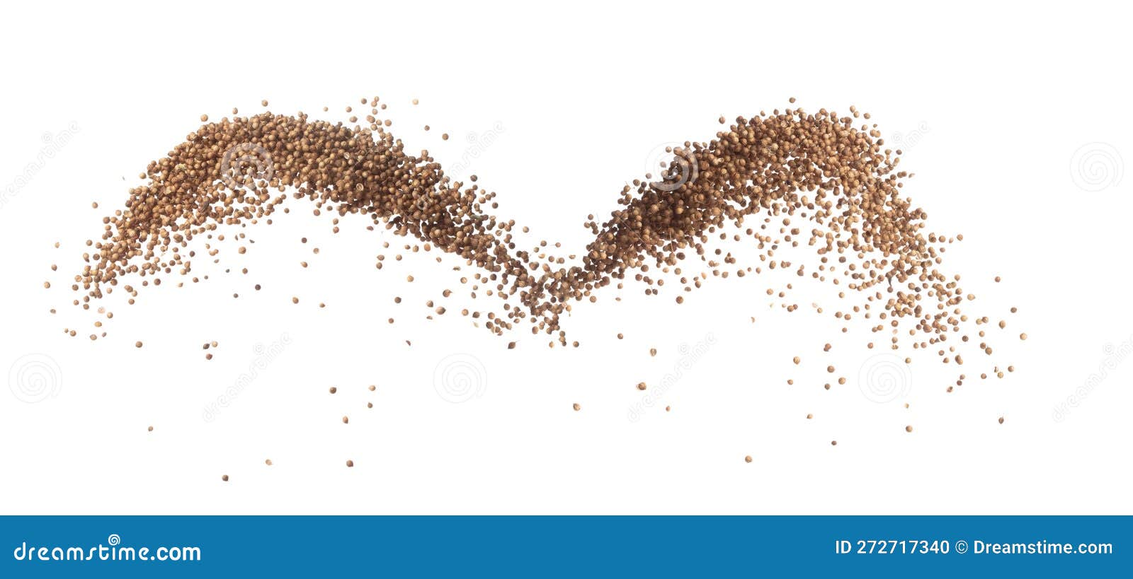 Coriander Seed Fly Explosion, Brown Coriander Seed Float Explode