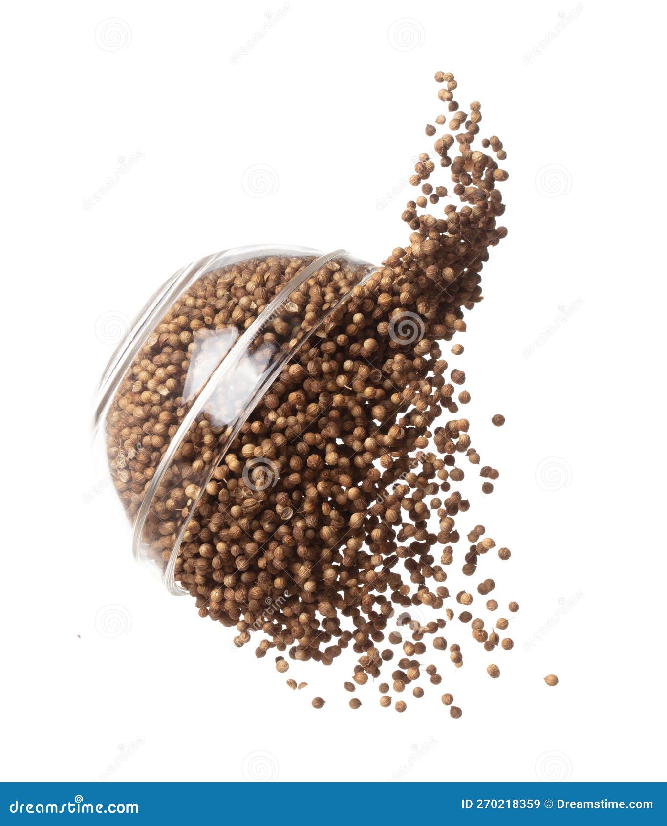 Coriander Seed Fly Throw Up in Glass Bowl, Brown Coriander Seed Float