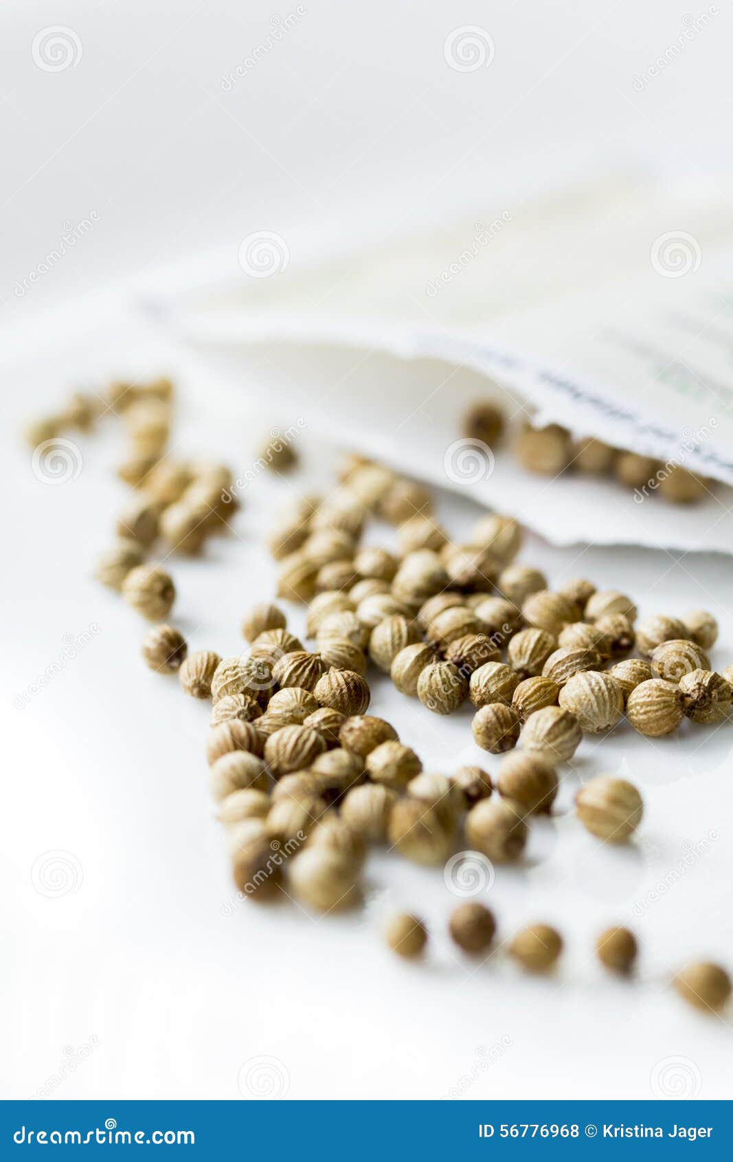 Coriander Seed Packet 6265 Stock Photo Image of open, white 56776968