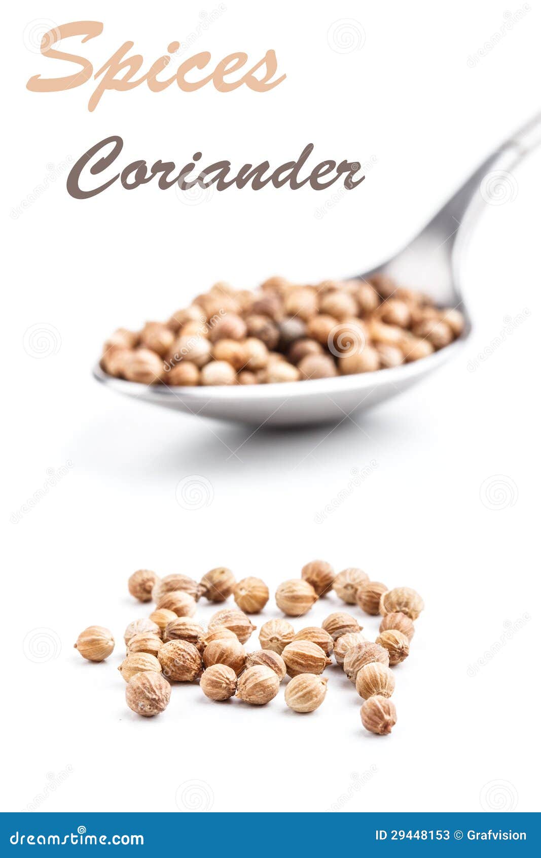 Coriander seeds stock image. Image of food, studio, white 29448153