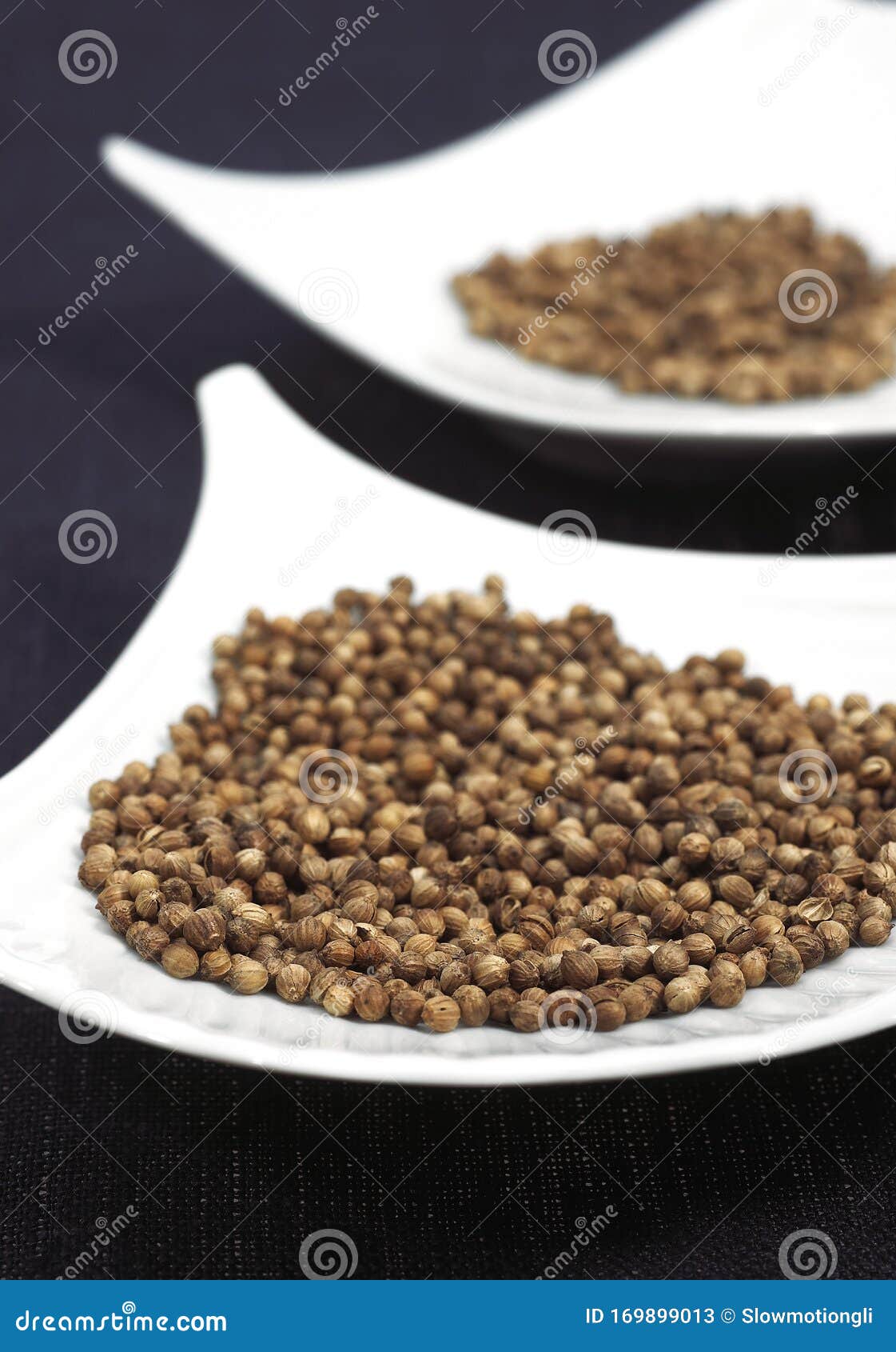 Coriandre Coriandrum Sativum Stock Image Image Of Spice Still Coriandre Coriandrum Sativum Stock Image Image Of Spice Still