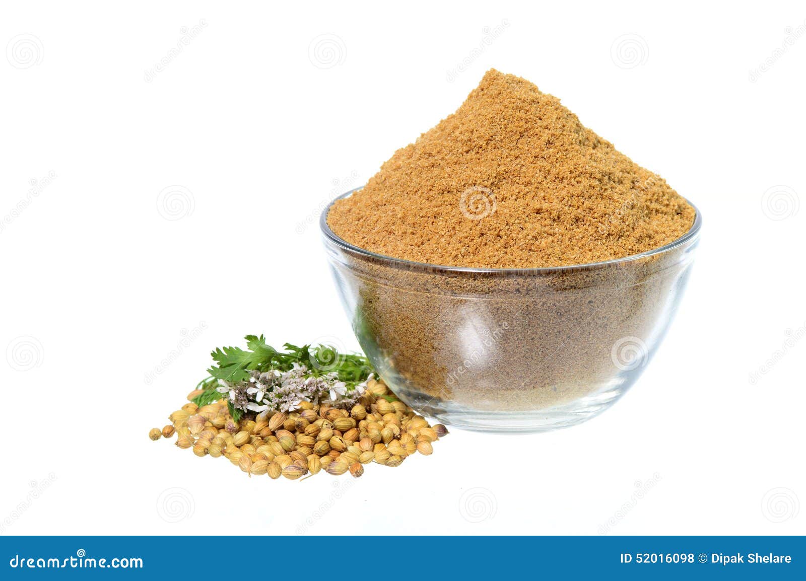 Coriander Seeds, Fresh Coriander And Powdered Coriander Stock Photo