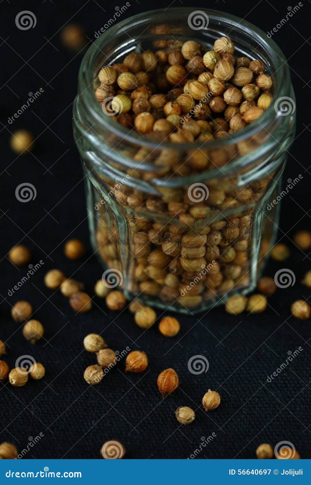 Coriander stock image. Image of seed, close, spice, life 56640697