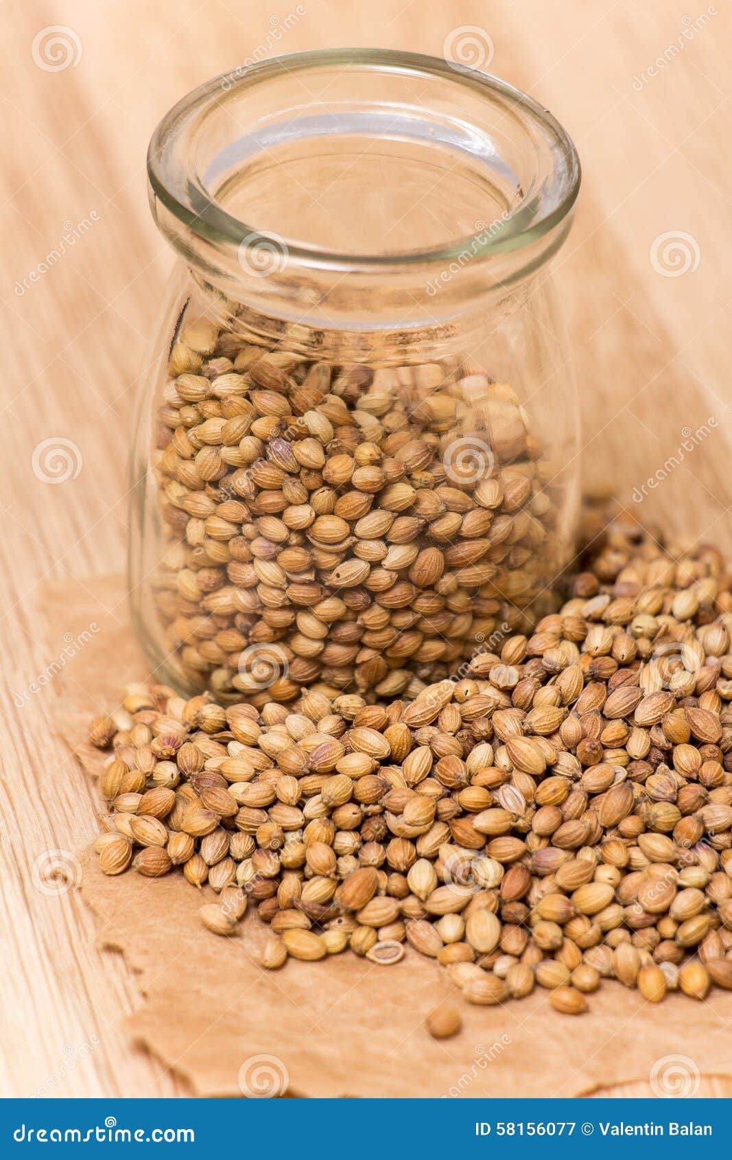 Coriander Seeds stock image. Image of ingredient, coriander 58156077