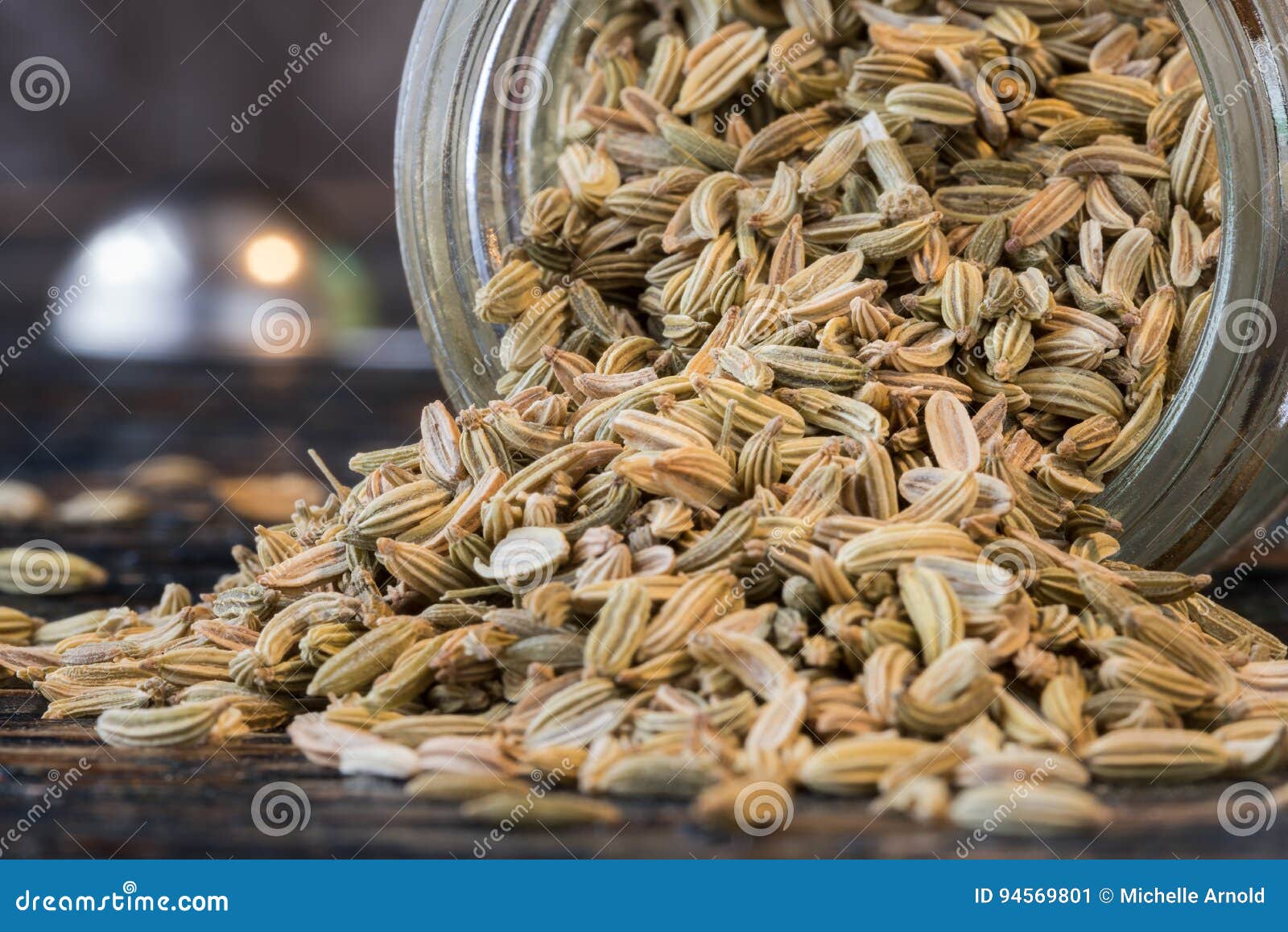 Coriander Seeds Spilled from a Spice Jar Stock Image Image of spice