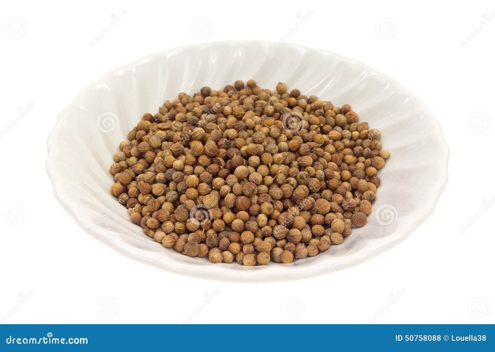 Coriander Seeds in White Dish Side View Stock Photo Image of seeds, cooking 50758088