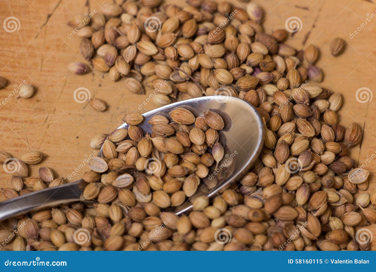Coriander Seeds stock image. Image of food, flavor, crushed 58160115