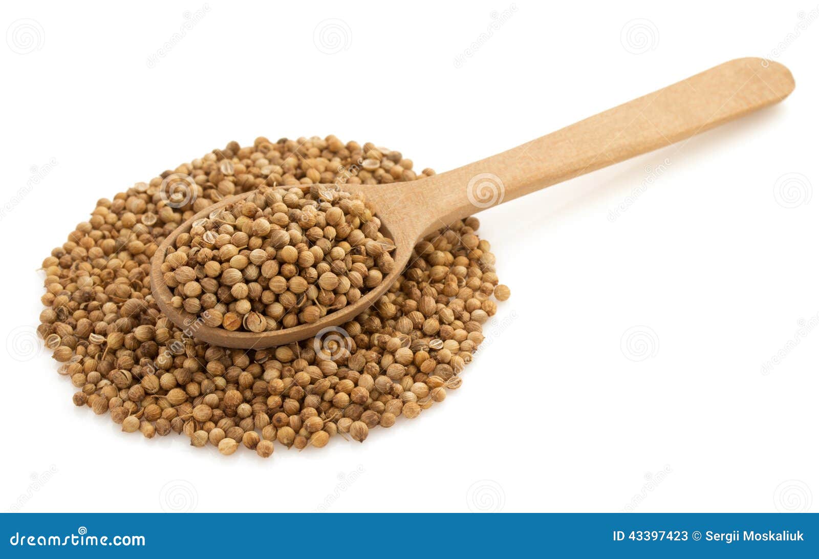 Coriander Spices in Spoon on White Stock Image Image of life, organic