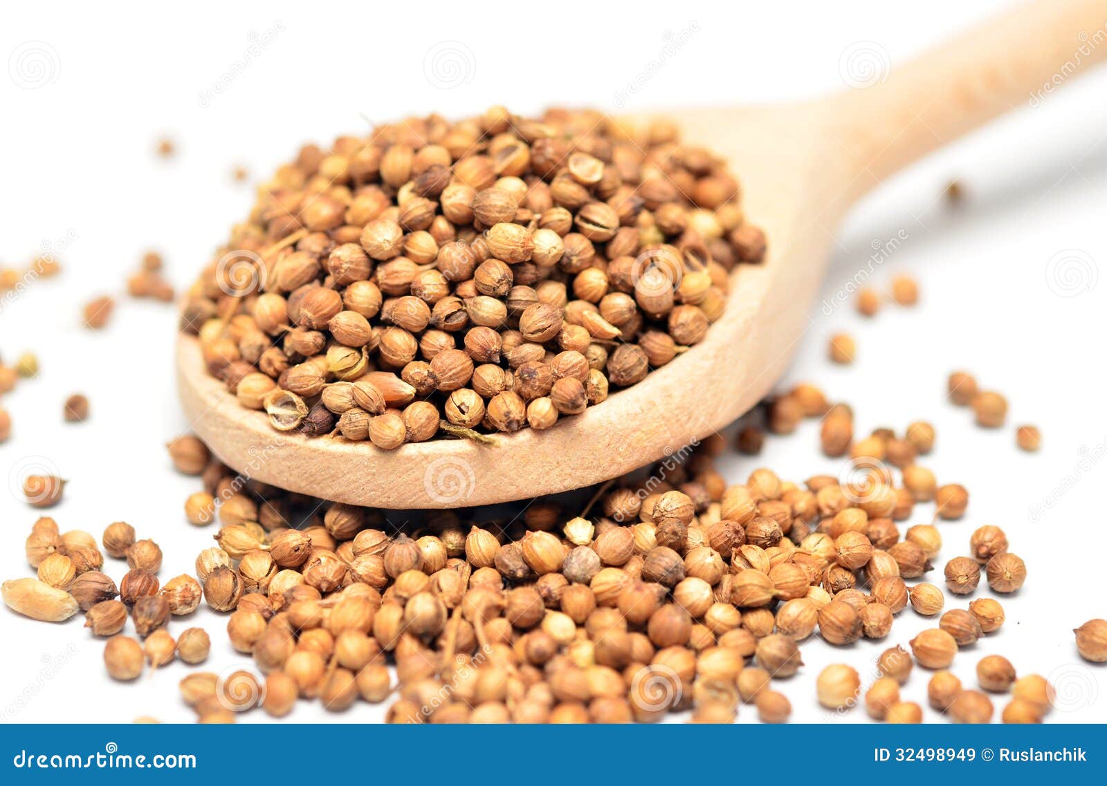 Coriander stock image. Image of close, spicy, beige, objects 32498949
