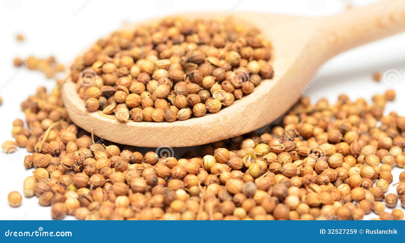 Coriander stock image. Image of closeup, background, seed 32527259