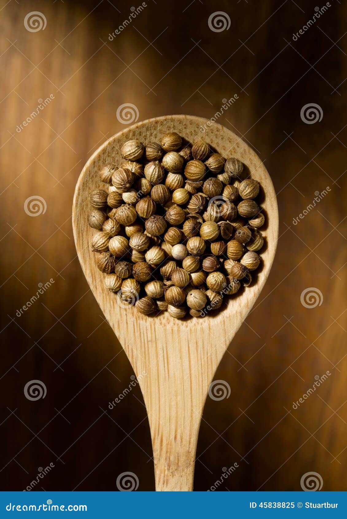 Coriander stock image. Image of aroma, herb, ingredient 45838825