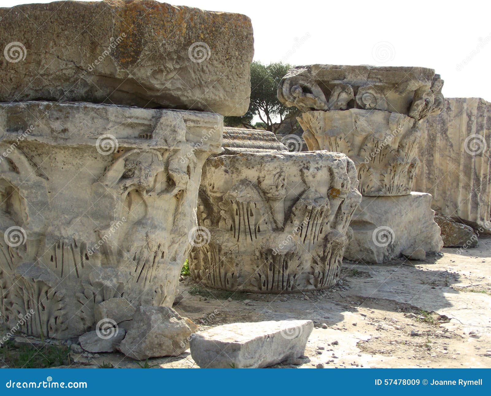 corinthian column capitals carthage tunisia