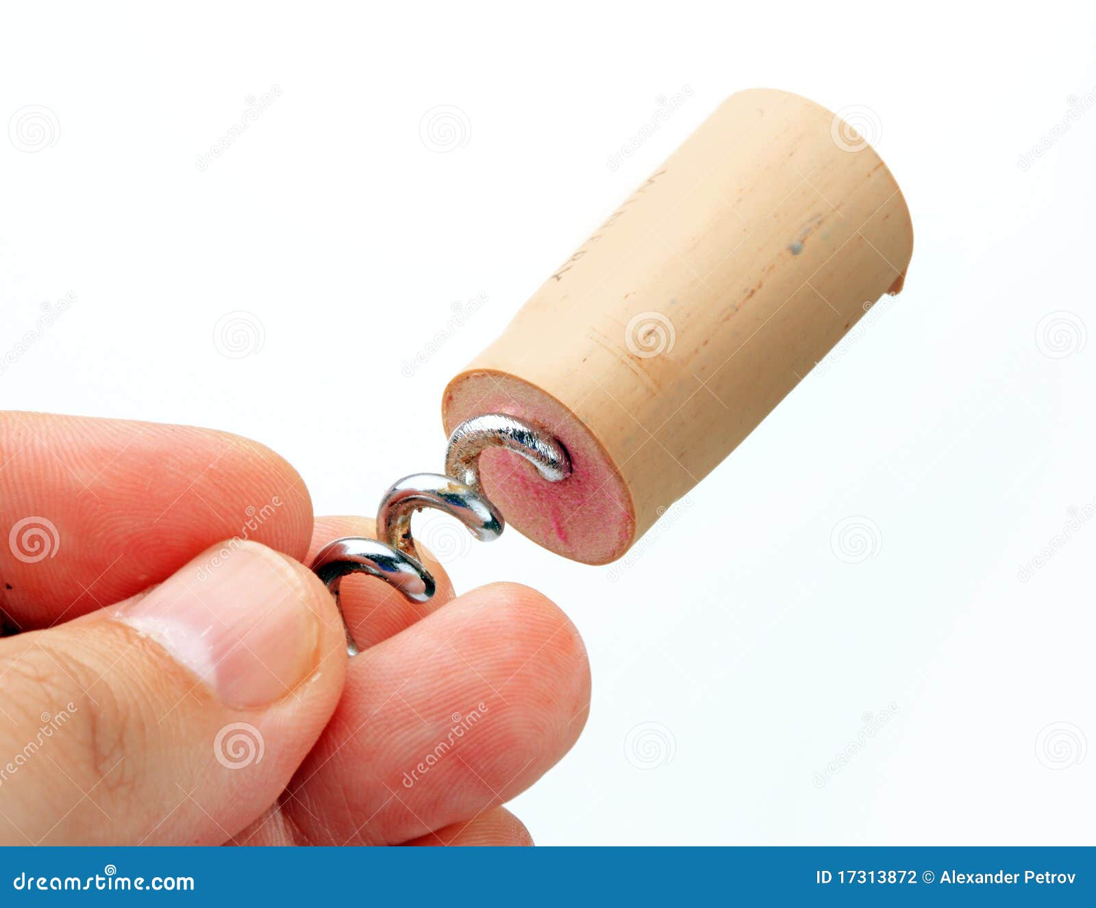 The cork stock photo. Image of wine, cork, macro, holding 17313872