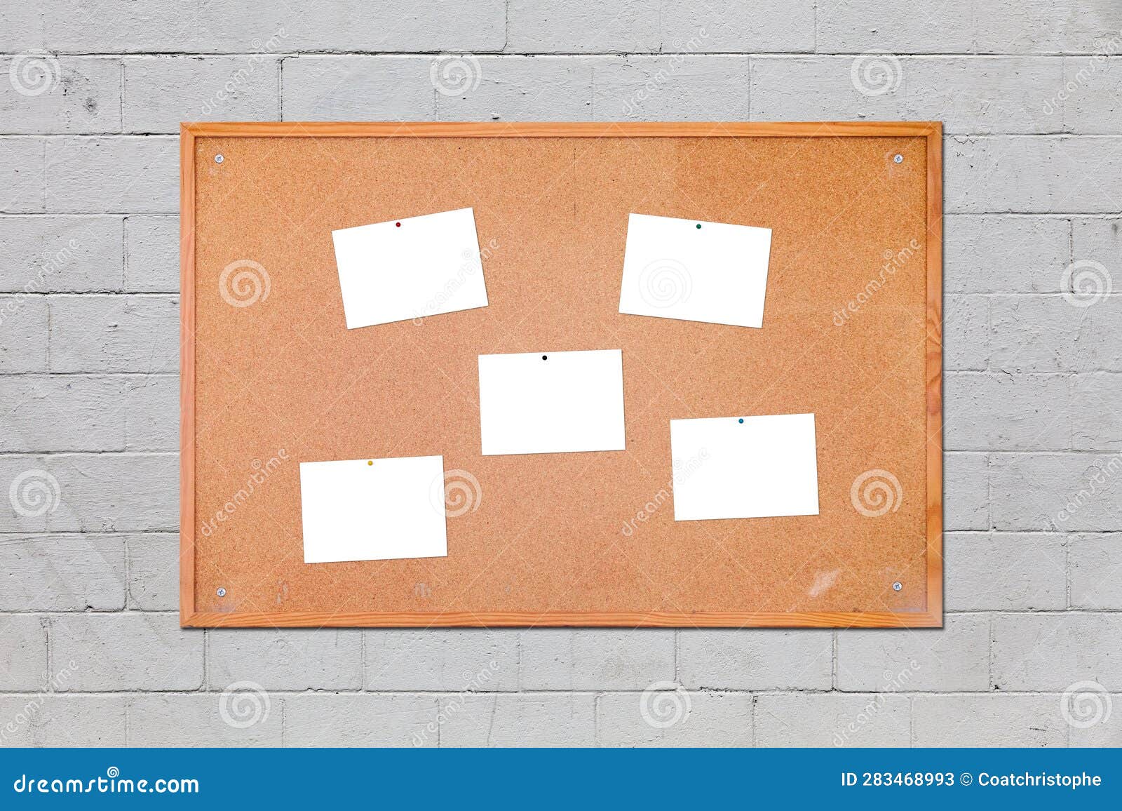 cork board with five card pined on it