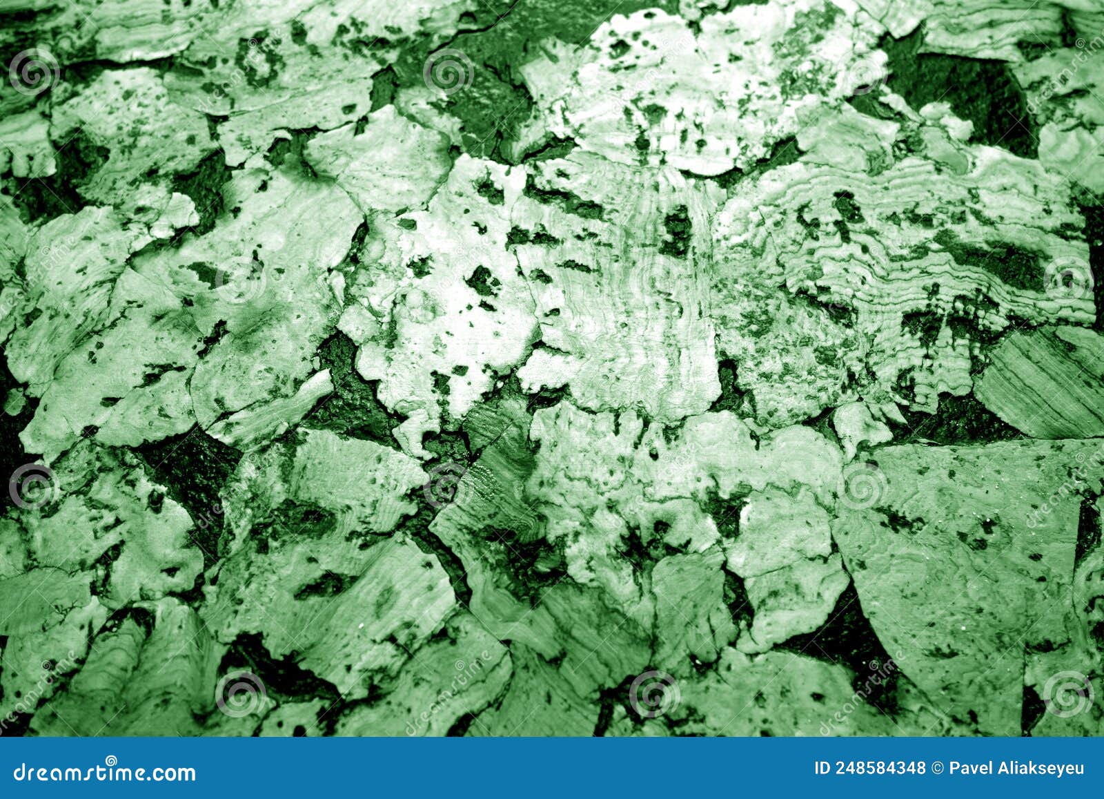 Cork Board Texture in Green Tone Stock Photo Image of post, color