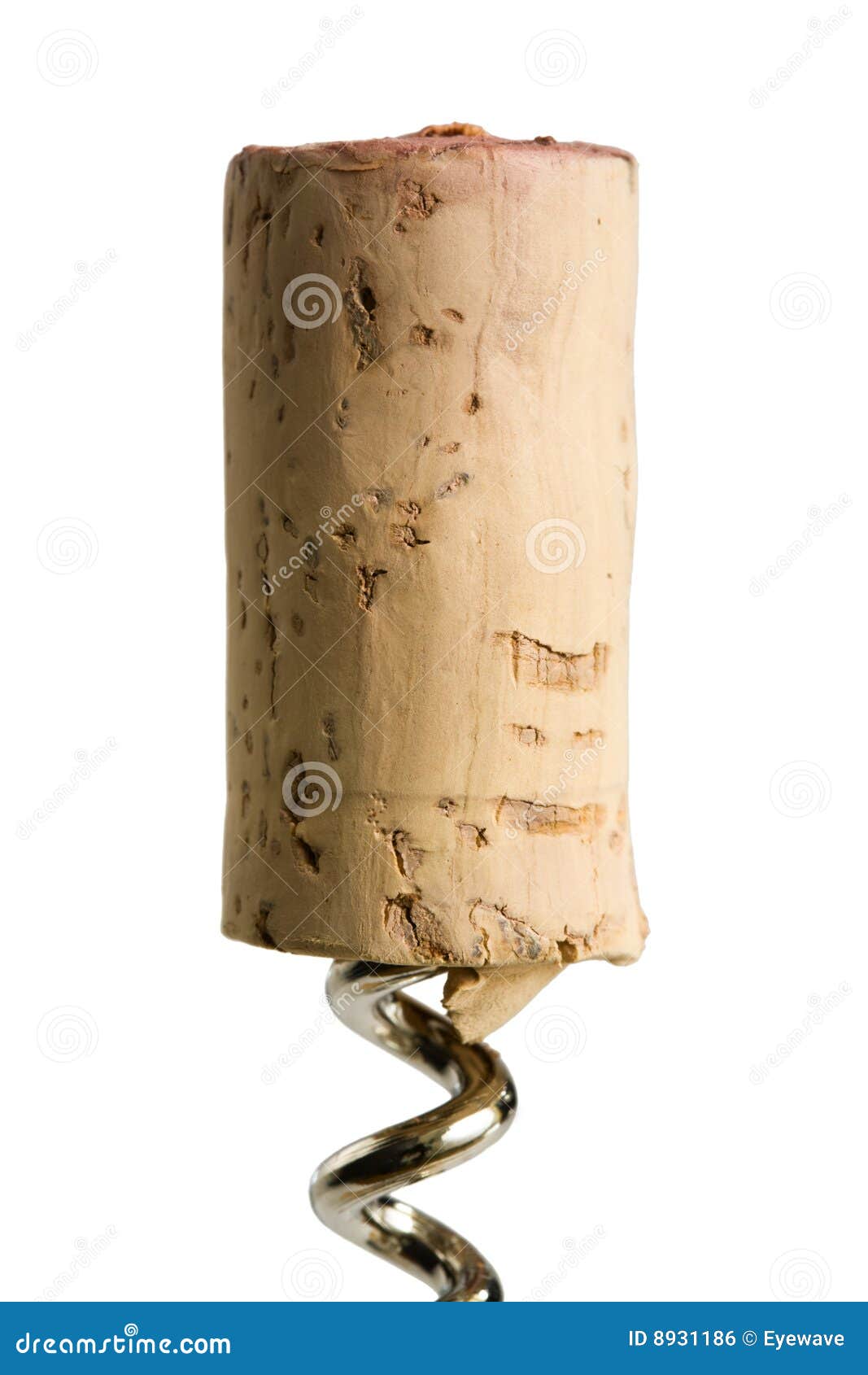 Cork on corkscrew stock photo. Image of tool, utensil 8931186