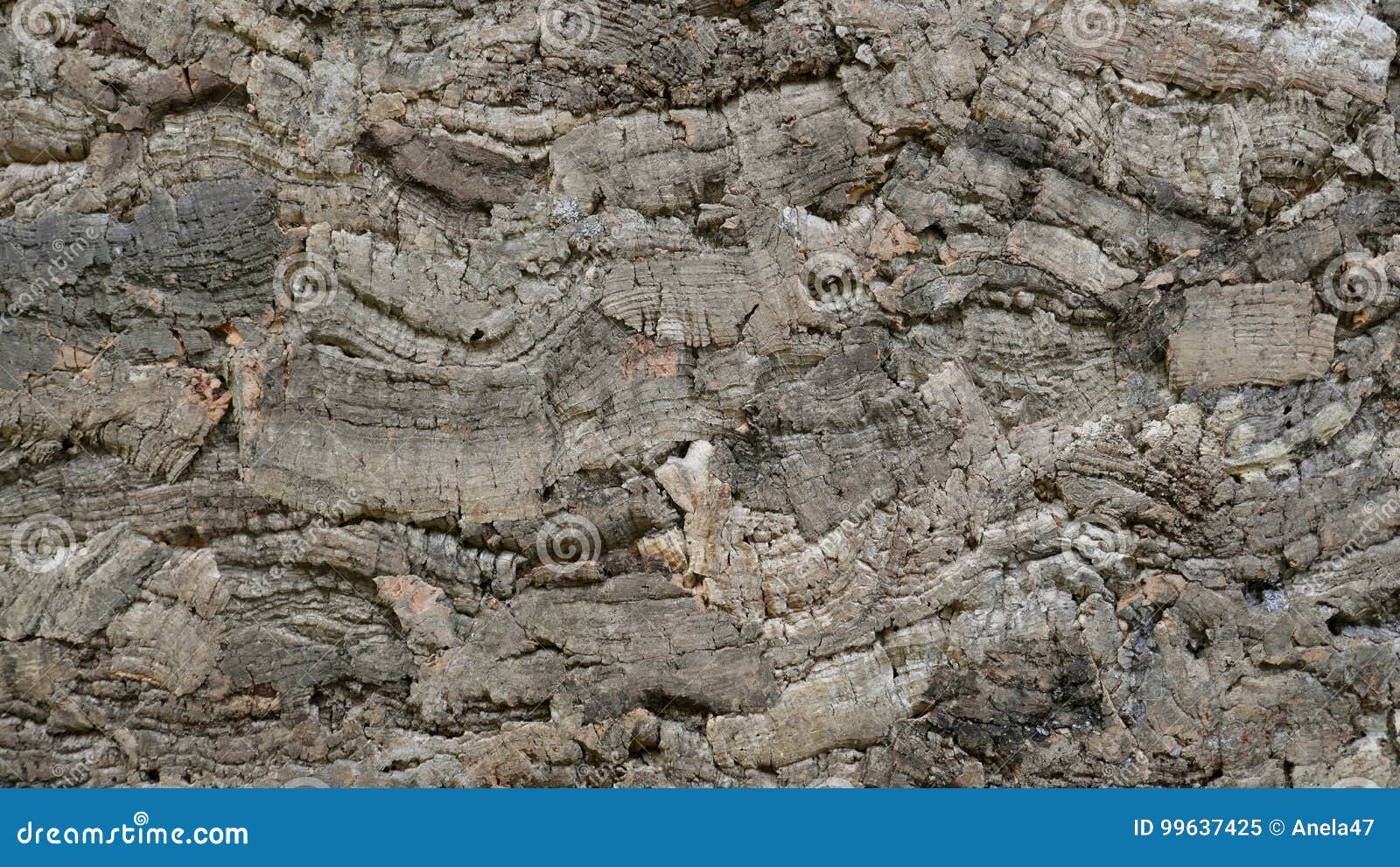 Cork Pressed, a Natural Raw Material, Texture Stock Image Image of