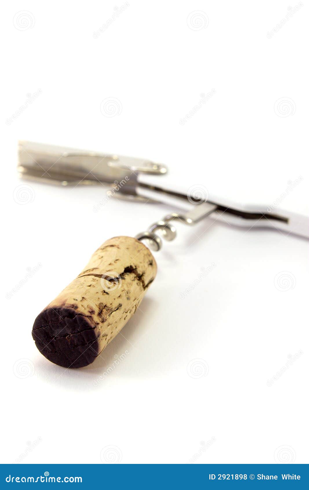 Cork remover stock photo. Image of pull, cork, close, port 2921898