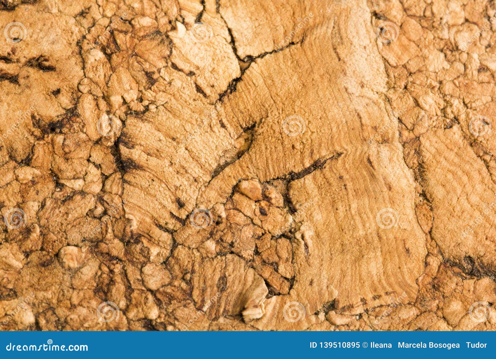 Cork texture stock image. Image of message, background 139510895