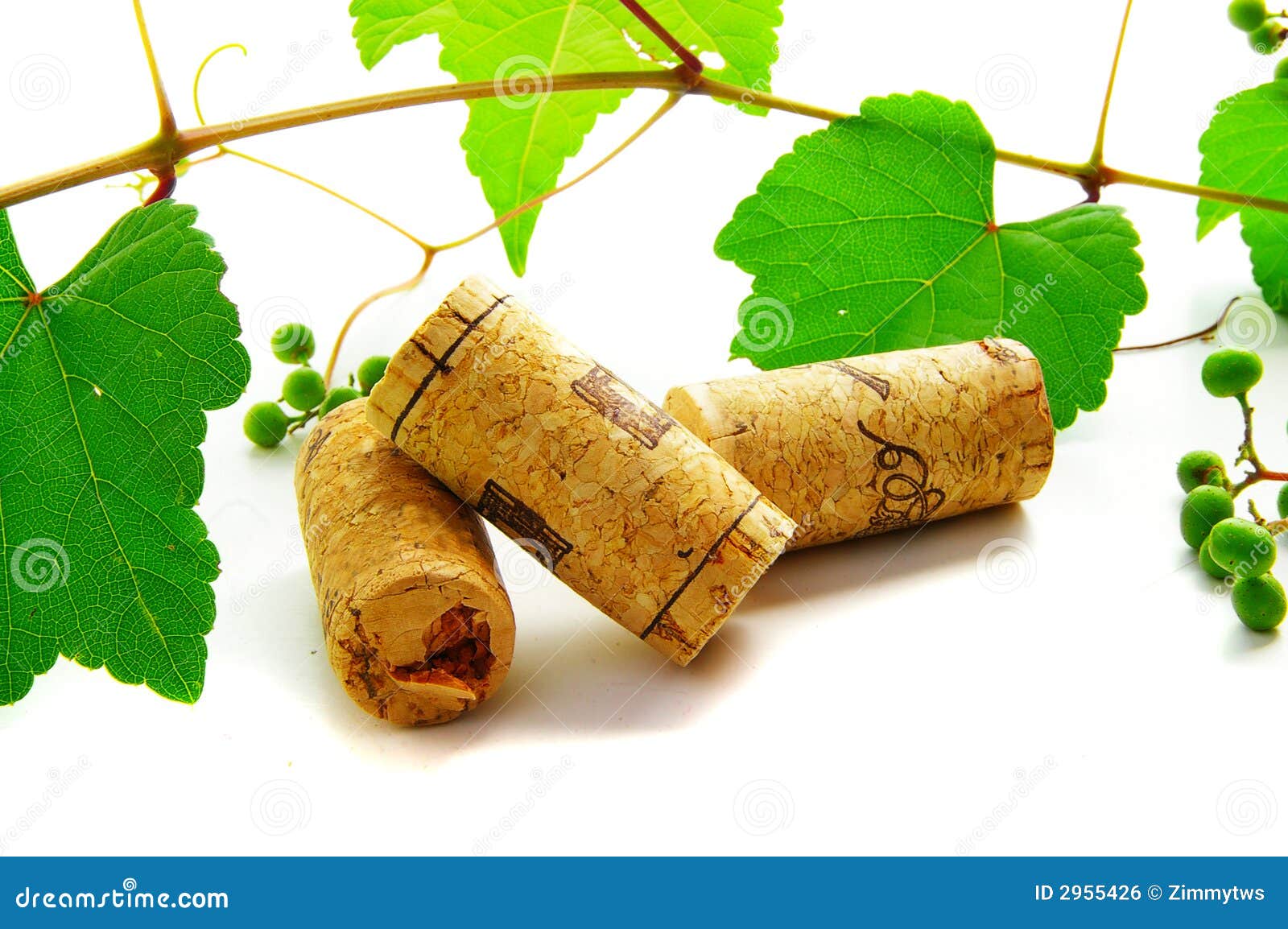 Corks and vine stock photo. Image of isolated, vineyard 2955426