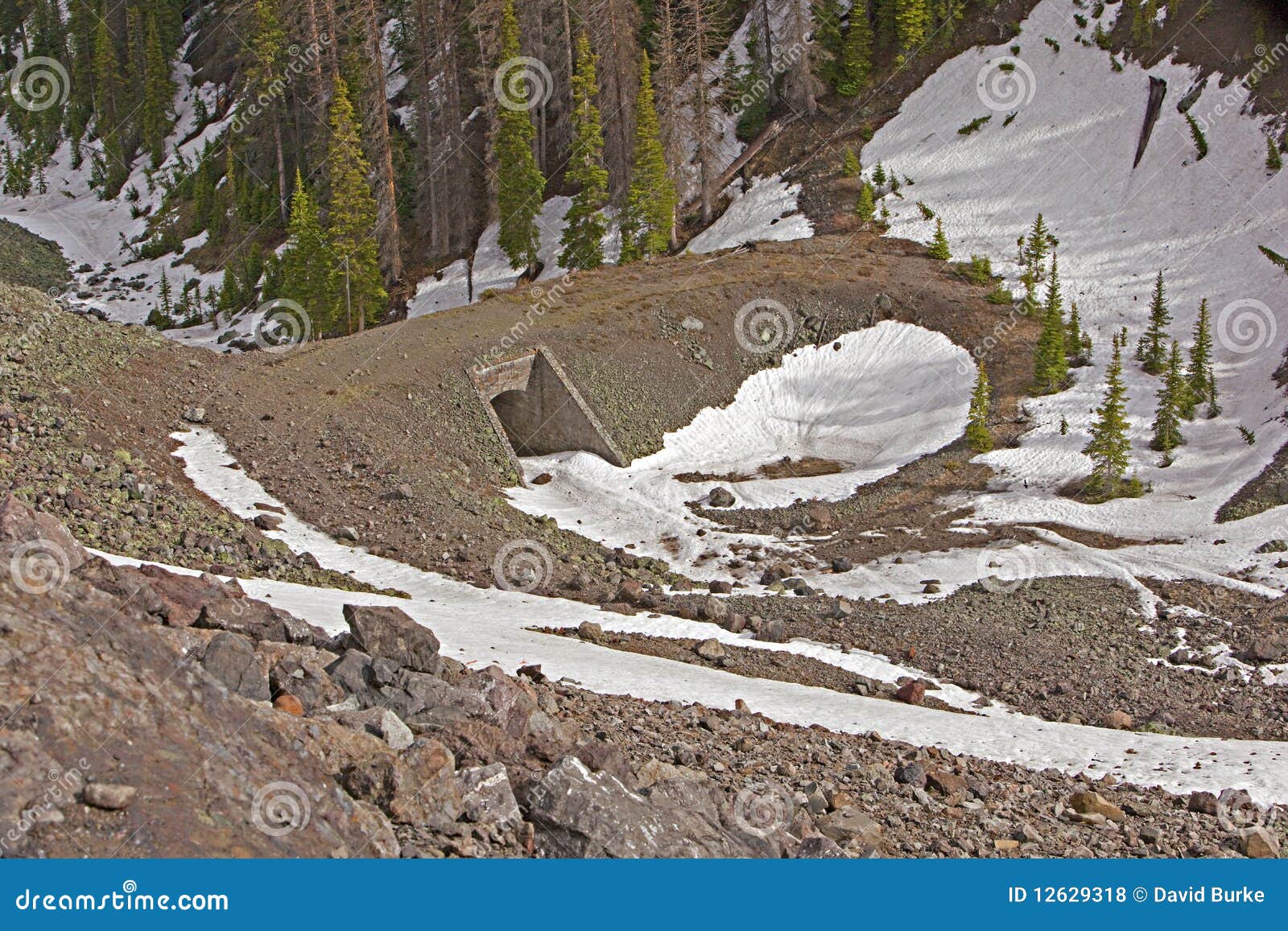 Corkscrew Bridge in Yellowstone Stock Photo Image of sylvan, yellowstone 12629318
