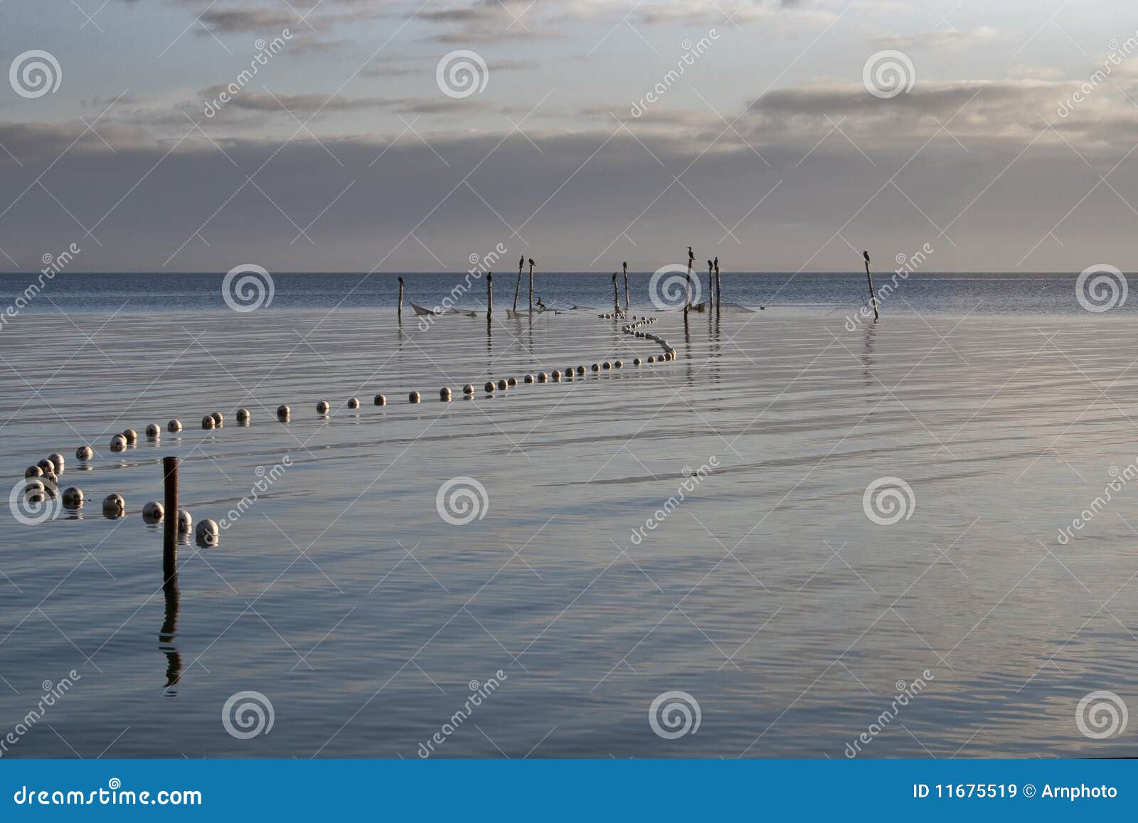 254 Fishing Stakes Stock Photos - Free & Royalty-Free Stock Photos from  Dreamstime